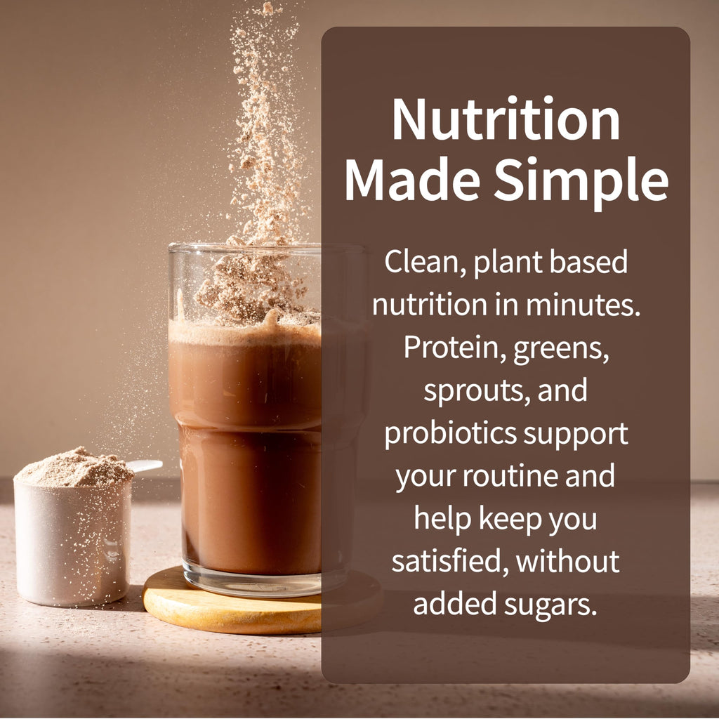 Plant-Based Organic Chocolate Meal Replacement Powder