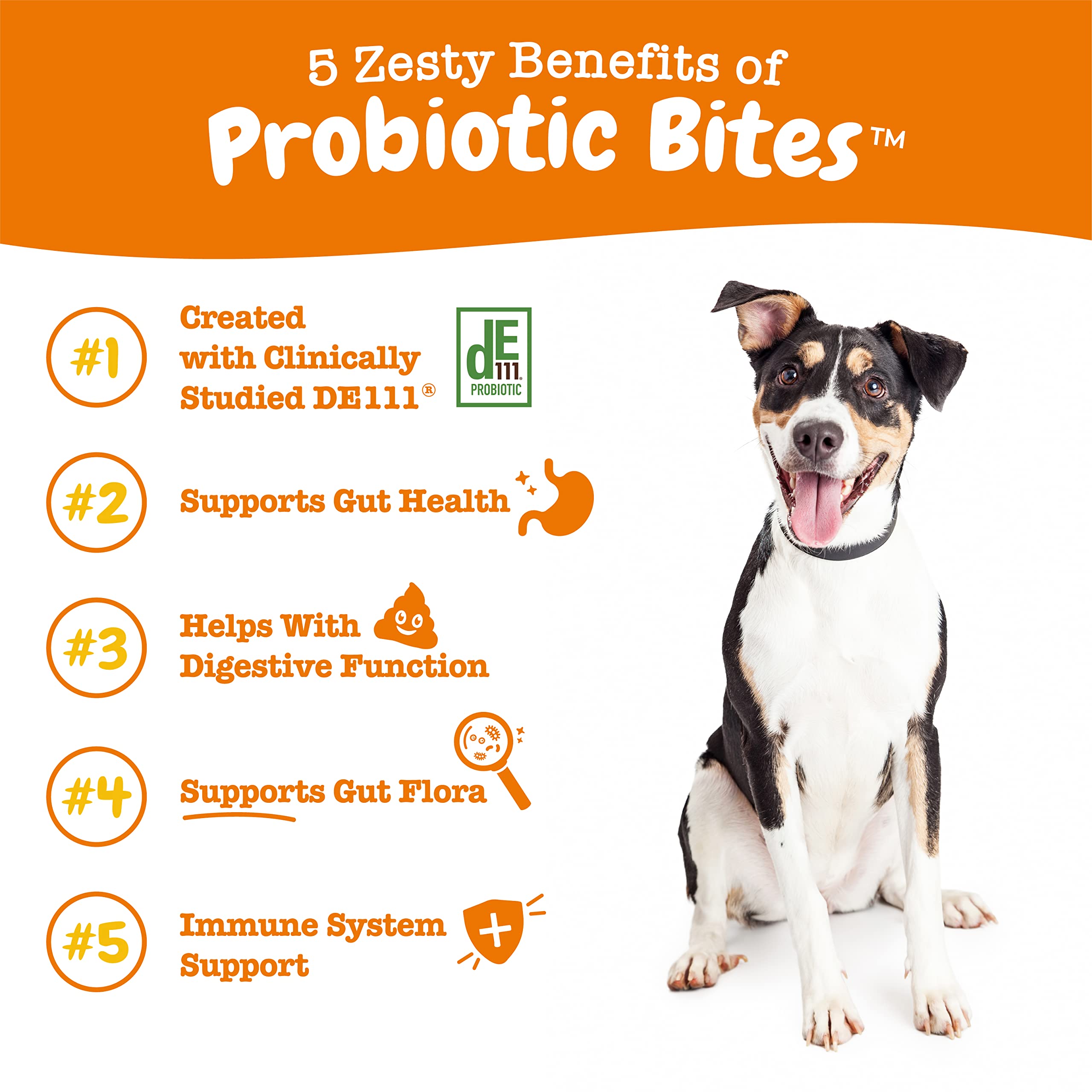 Probiotic Soft Chews for Dogs – Gut & Digestive Health Support 90ct