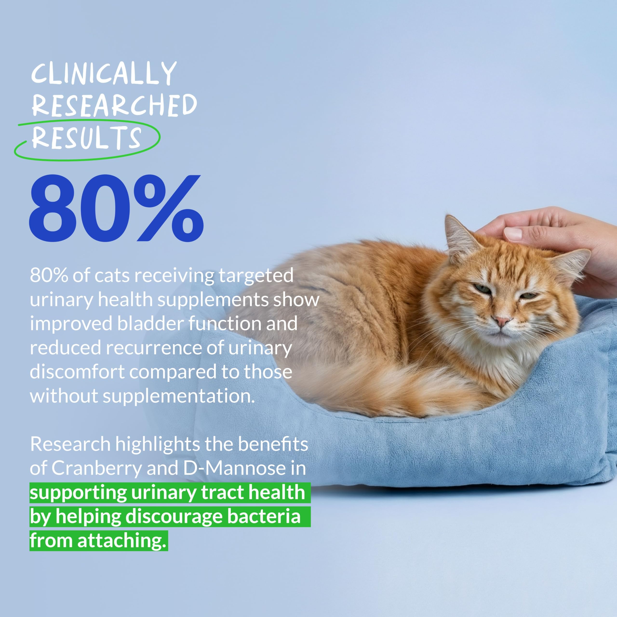 Cranberry Urinary Tract Support Powder for Cats – Bladder Health
