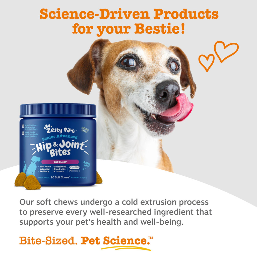 Joint Supplement Soft Chews for Dogs – Glucosamine & MSM 90ct