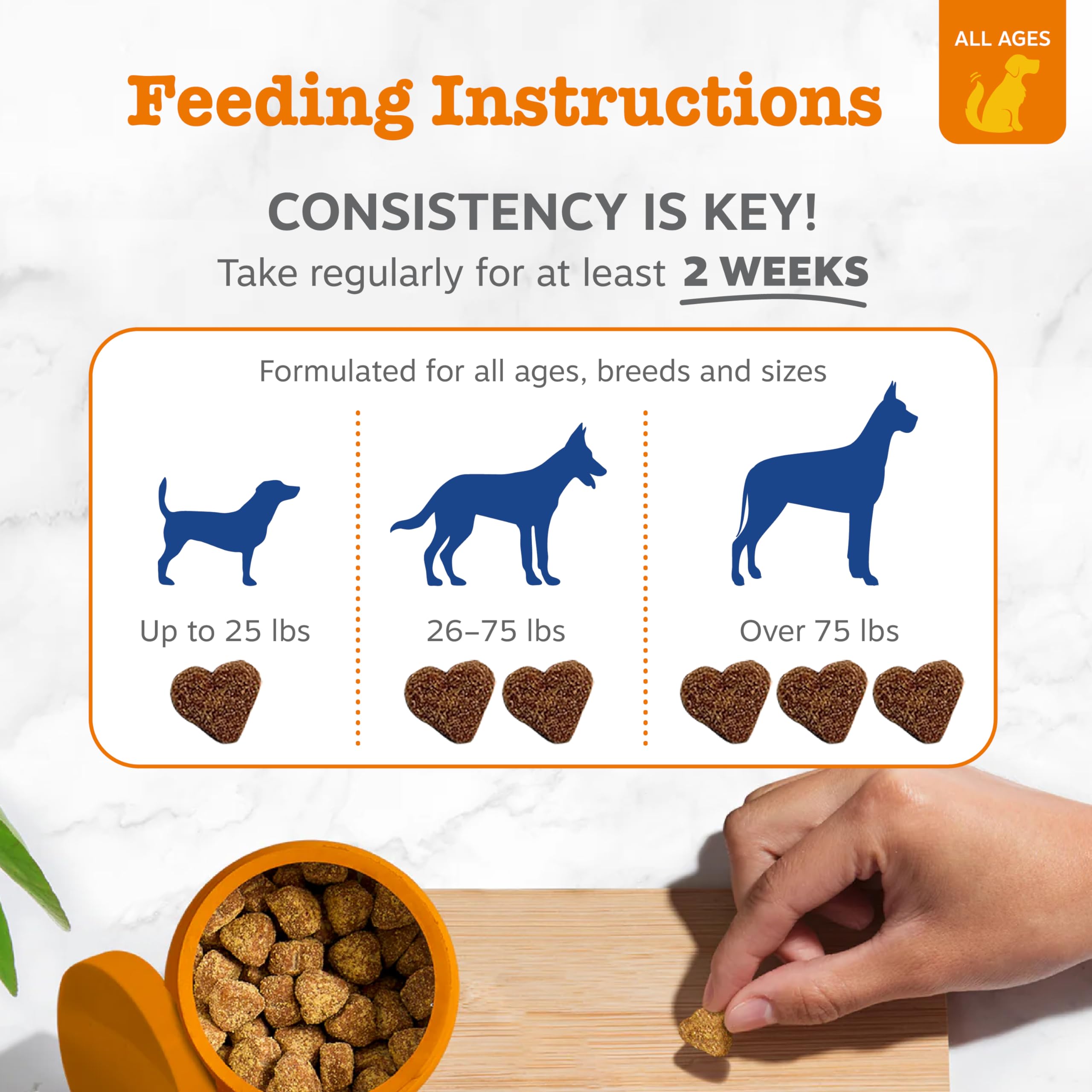 Dog Multivitamin Chews – Hip, Joint, Skin & Coat Support 90ct