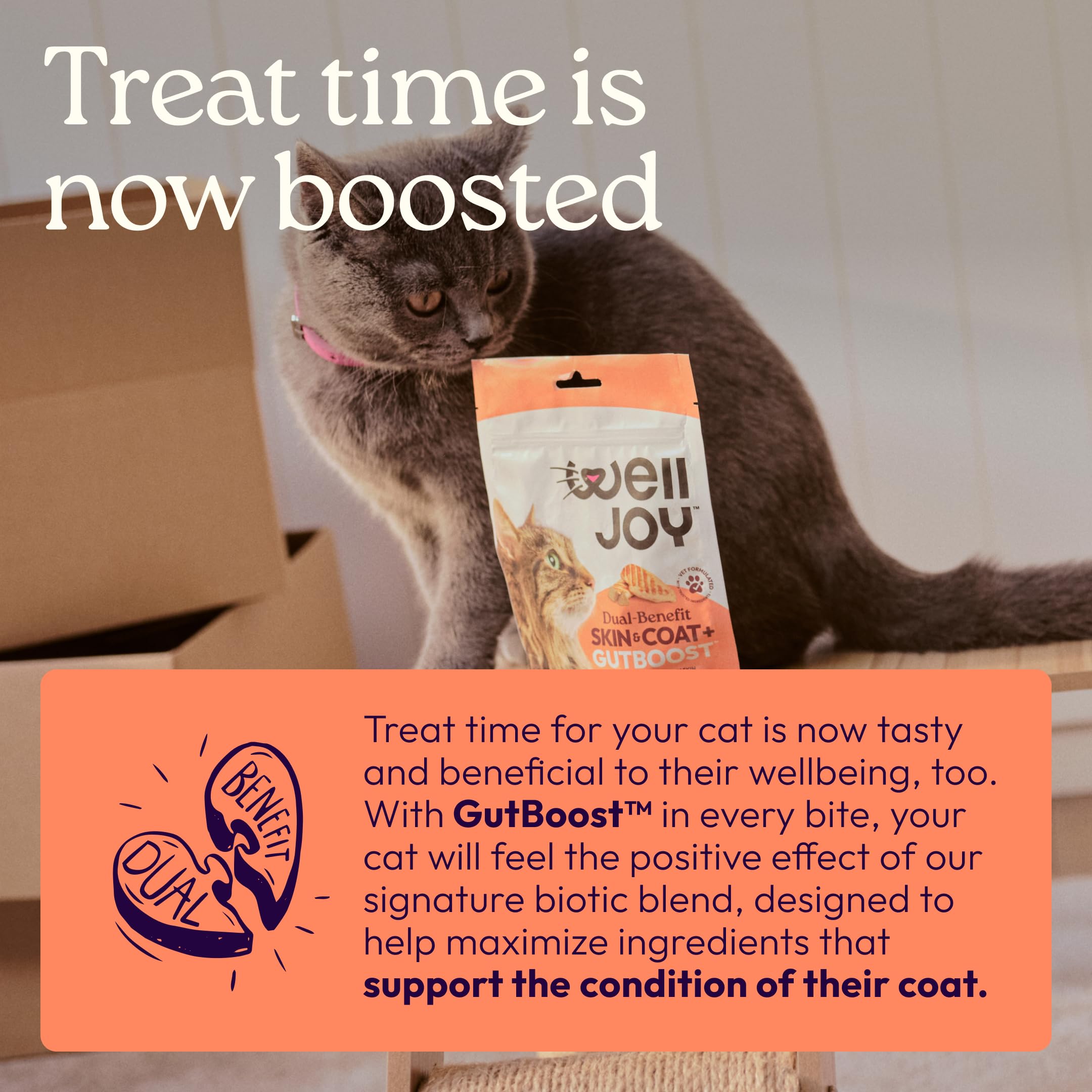 Skin, Coat & Gut Support Soft Chews for Cats – Chicken 120ct