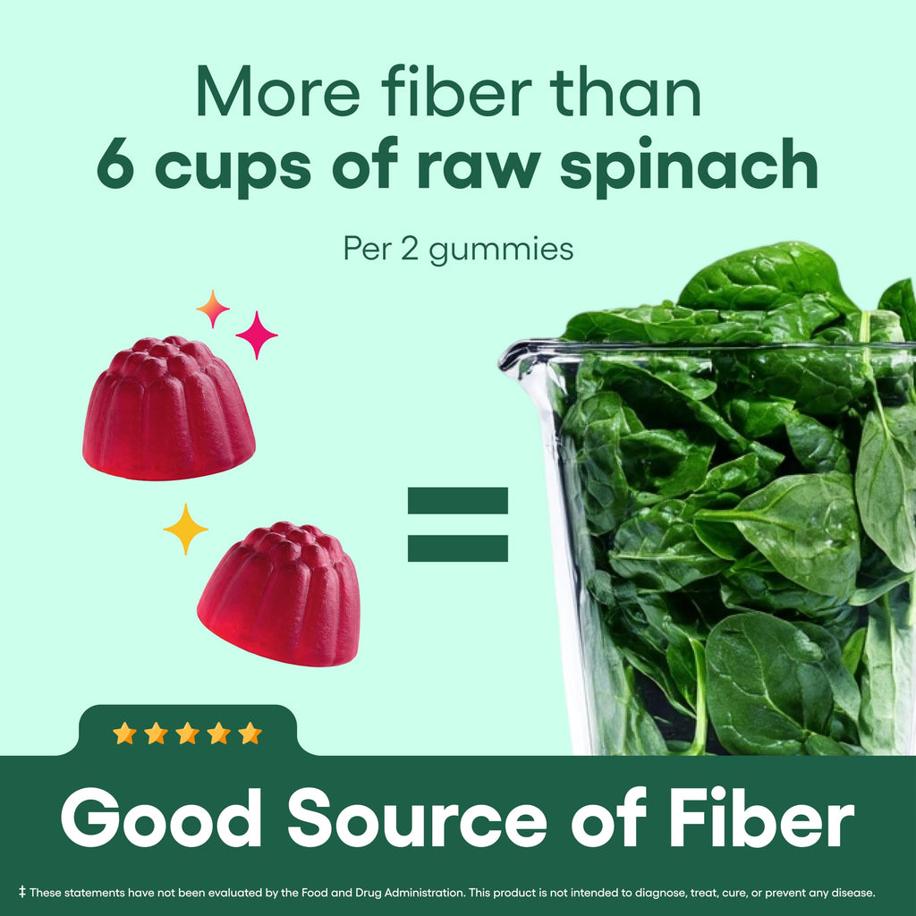 Prebiotic Fiber Gummies – Digestive Health & Regularity, 60 Count