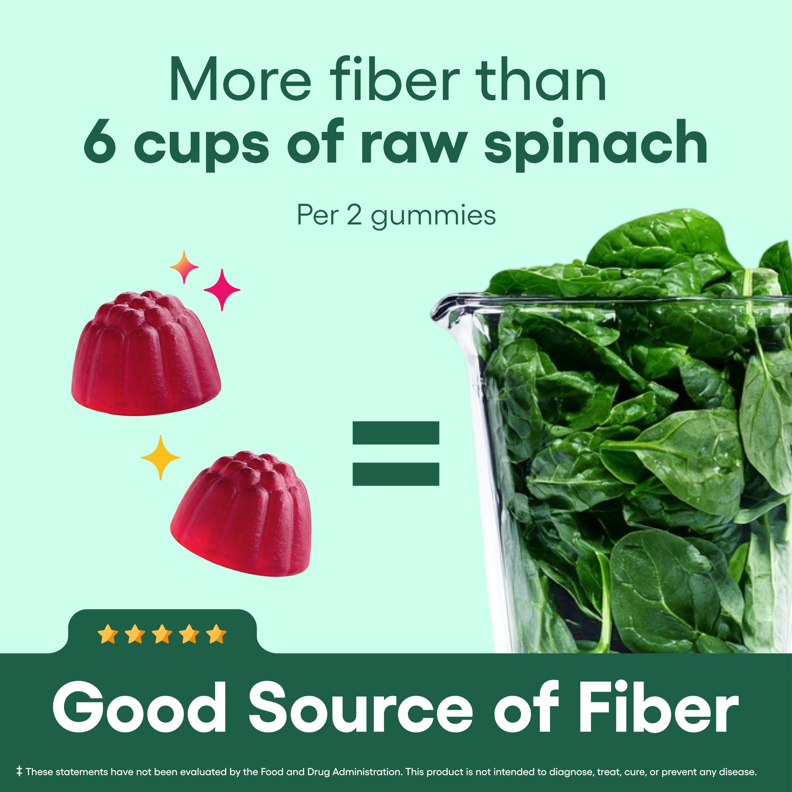 Prebiotic Fiber Gummies – Digestive Health & Regularity, 60 Count