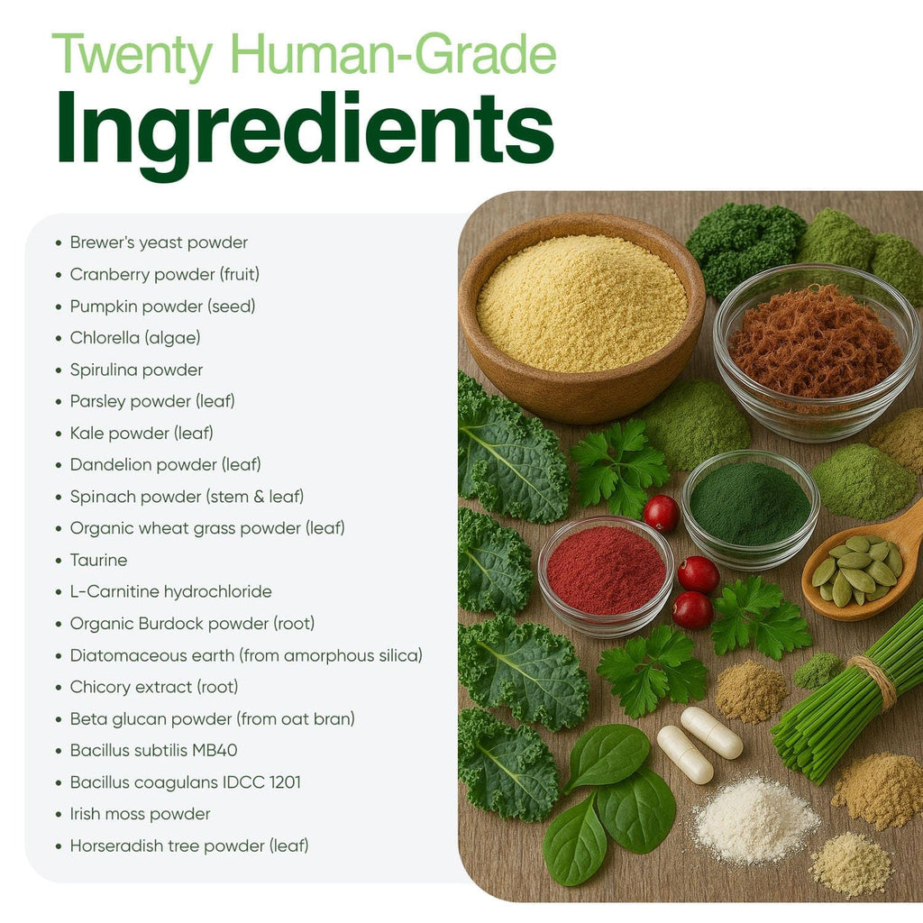 Superfood Greens Powder for Dogs – Gut, Joint & Immune Support 3.5oz