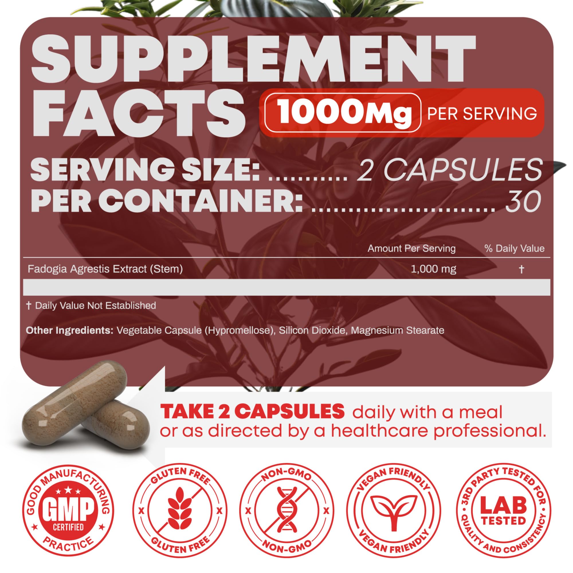 Fadogia Agrestis 1000 mg Capsules – Energy & Performance, 60 Ct