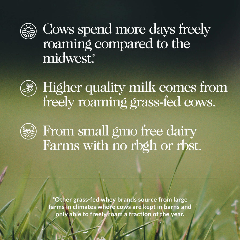 Grass Fed Whey Protein Vanilla 3 Ingredients 24 Servings