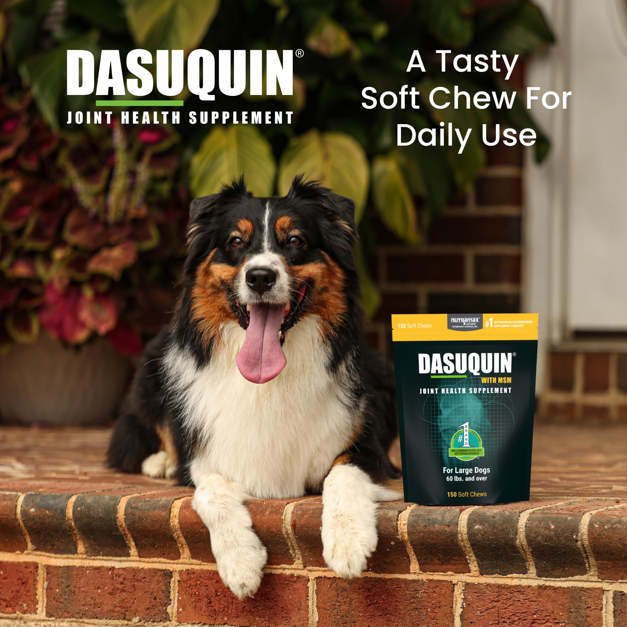 Joint Soft Chews for Large Dogs – Glucosamine, Chondroitin & MSM 150ct