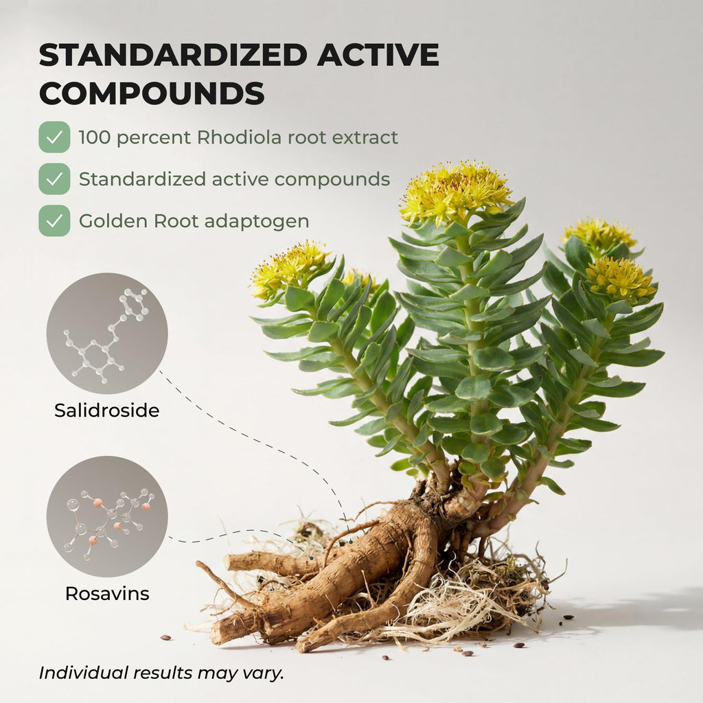 Rhodiola Rosea Capsules for Stress, Energy, Focus & Performance Support