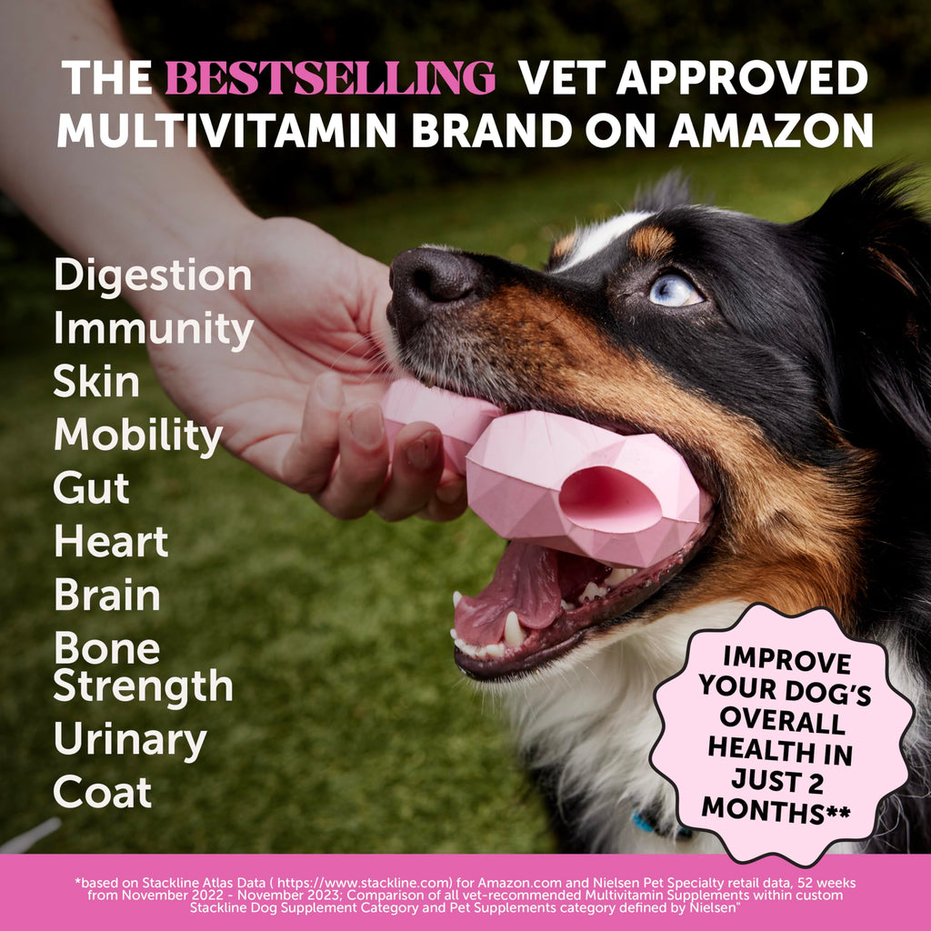 10-in-1 Dog Multivitamin Chews – Glucosamine & Probiotics 90ct