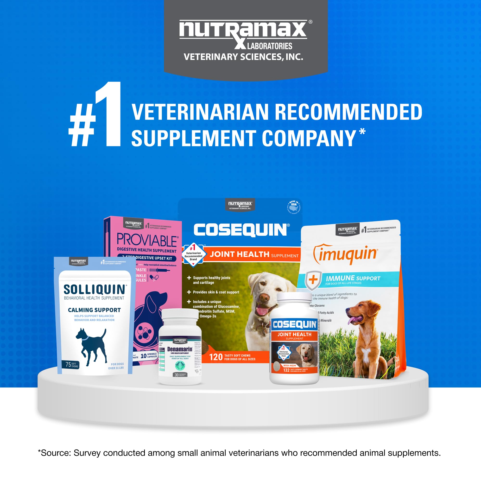 Joint Chewable Tablets for Dogs – Glucosamine, Chondroitin & MSM 132ct