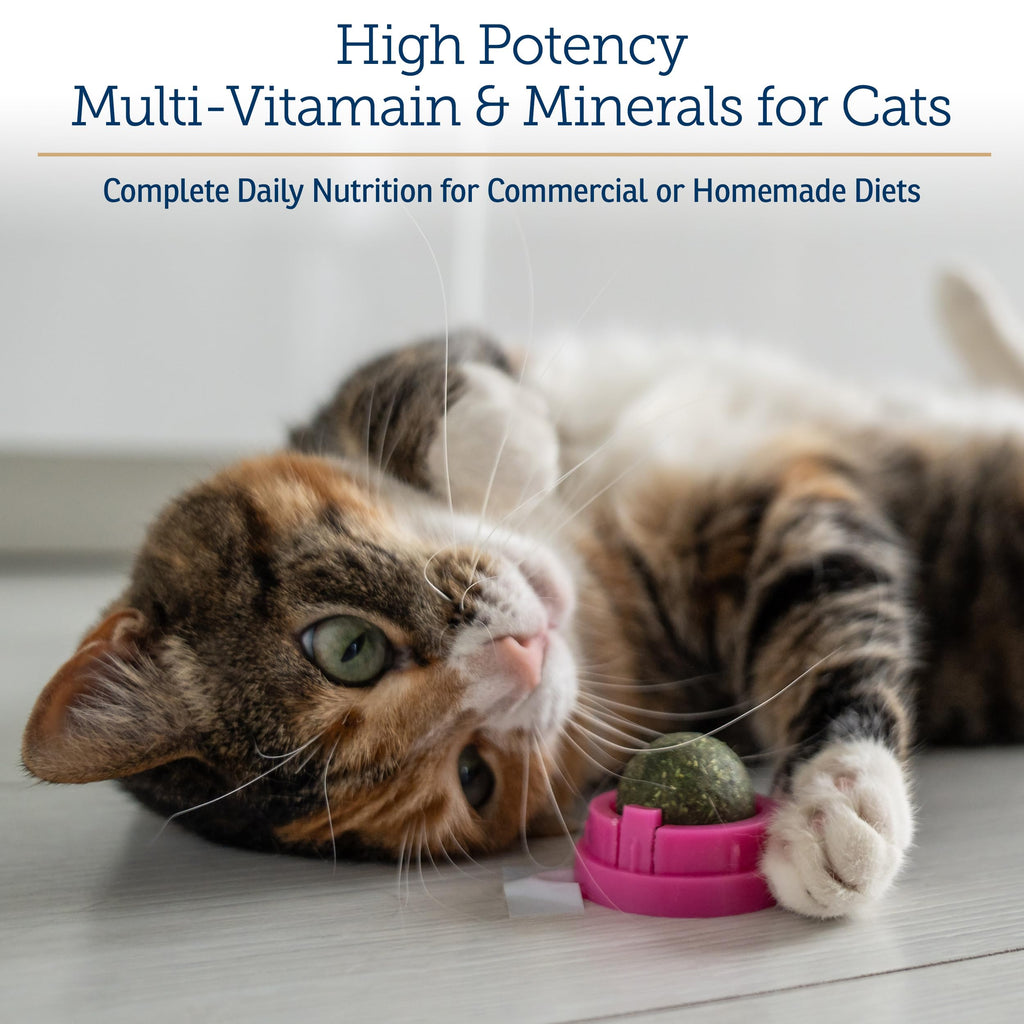 Daily Multivitamin & Mineral Powder for Cats – Immune Support 4oz