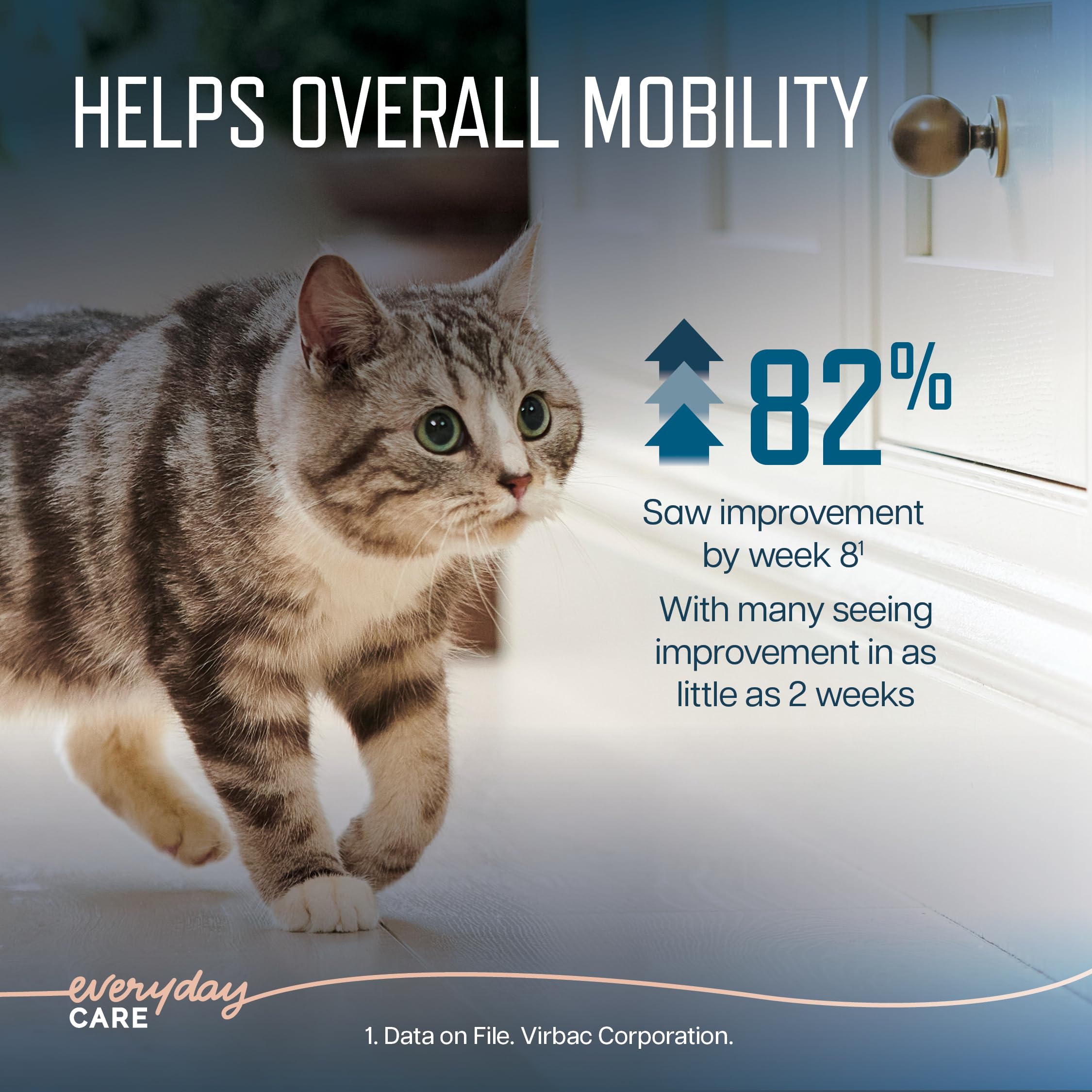Muscle Health Support Soft Chews for Senior Cats – 60ct 2-Month