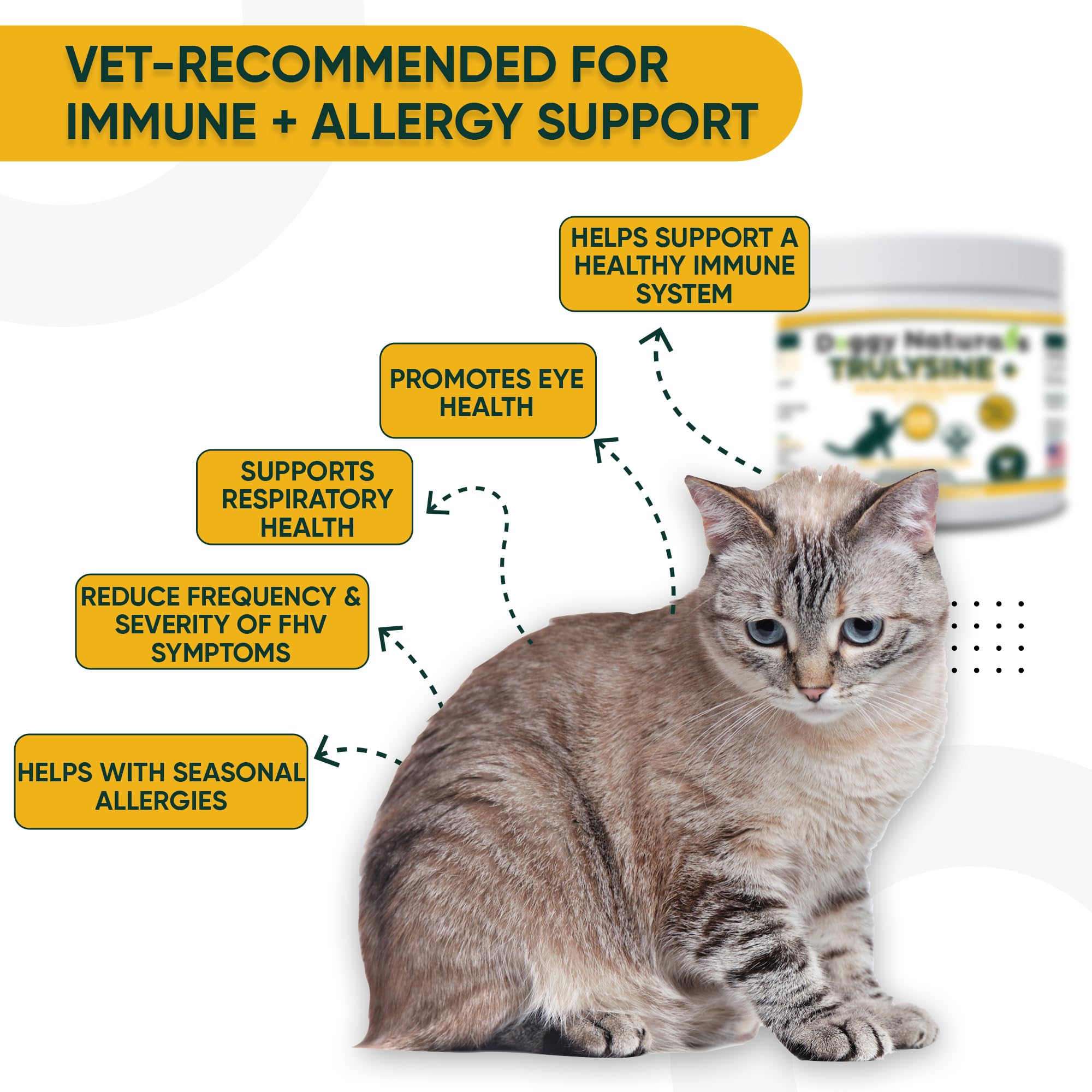 L-Lysine Immune Support Powder for Cats – Chicken Liver 8oz 226g