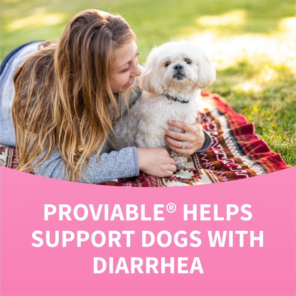 Multi-Strain Probiotic Chewable Tablets for Dogs – 60ct