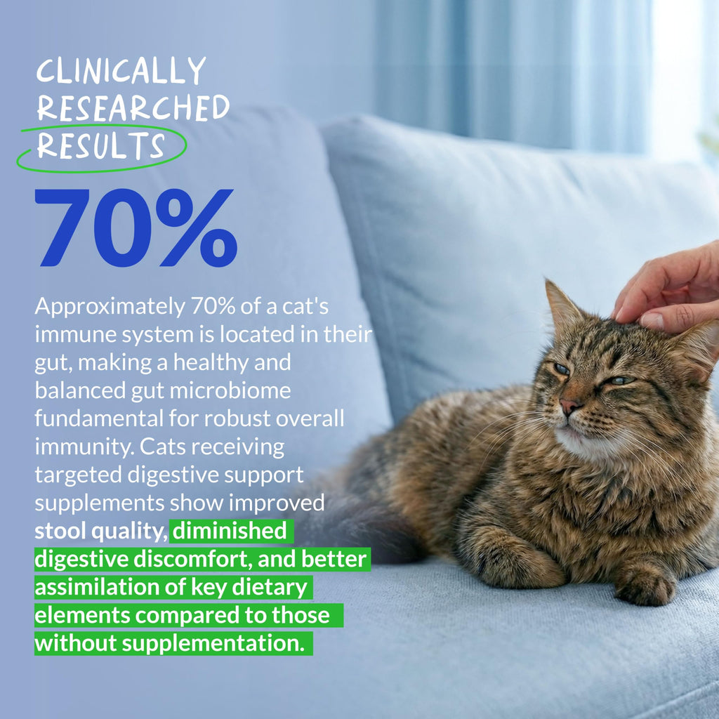 Probiotic & Prebiotic Powder for Cats – Digestive & Gut Health