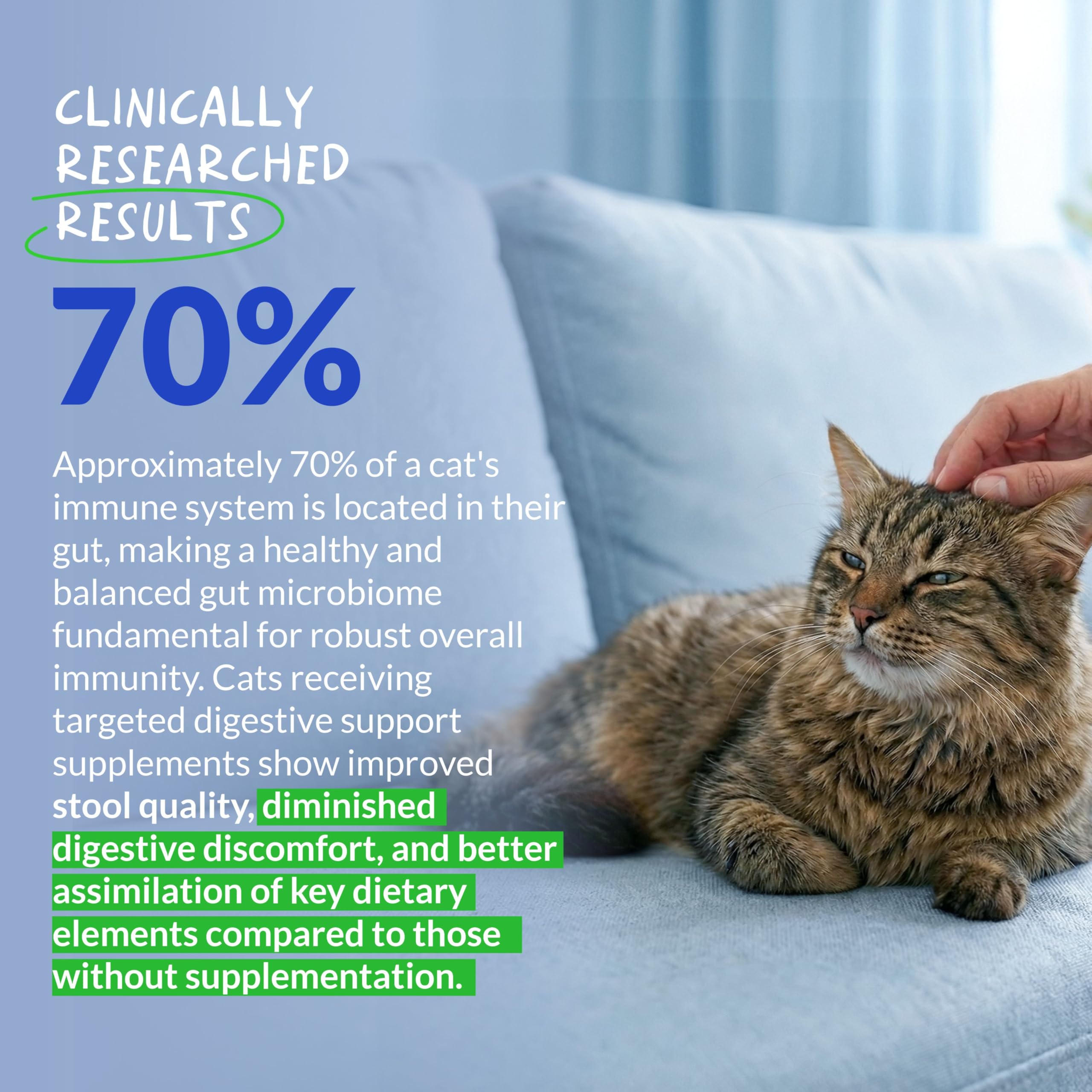 Probiotic & Prebiotic Powder for Cats – Digestive & Gut Health