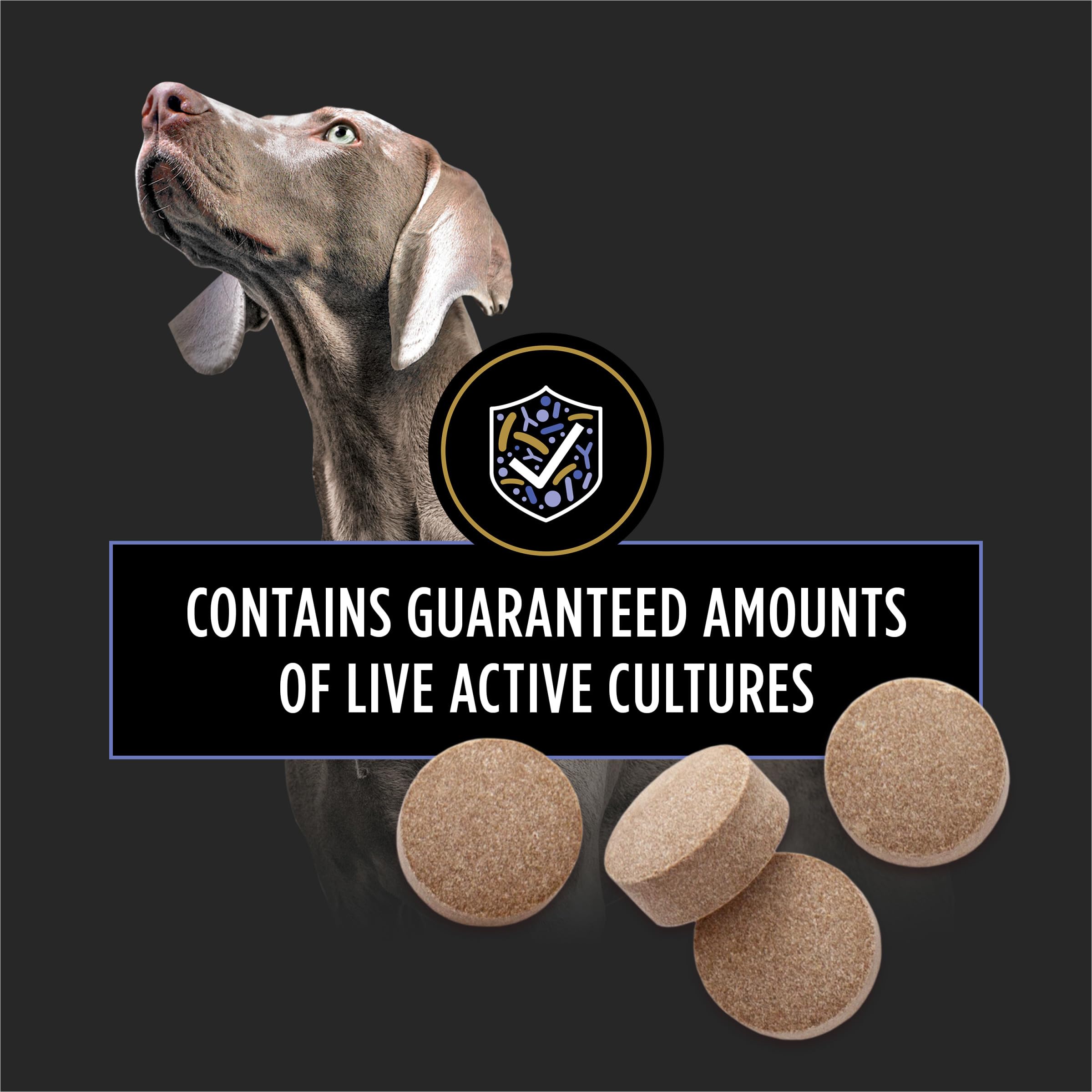 Daily Probiotic Chewable Tablets for Dogs – Digestive Health 45ct