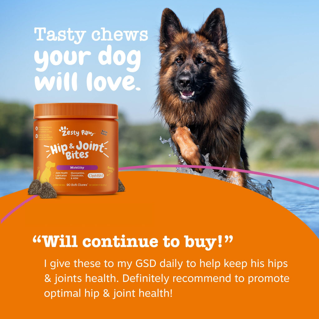 Hip & Joint Chews for Dogs – Glucosamine, Chondroitin & MSM 90ct