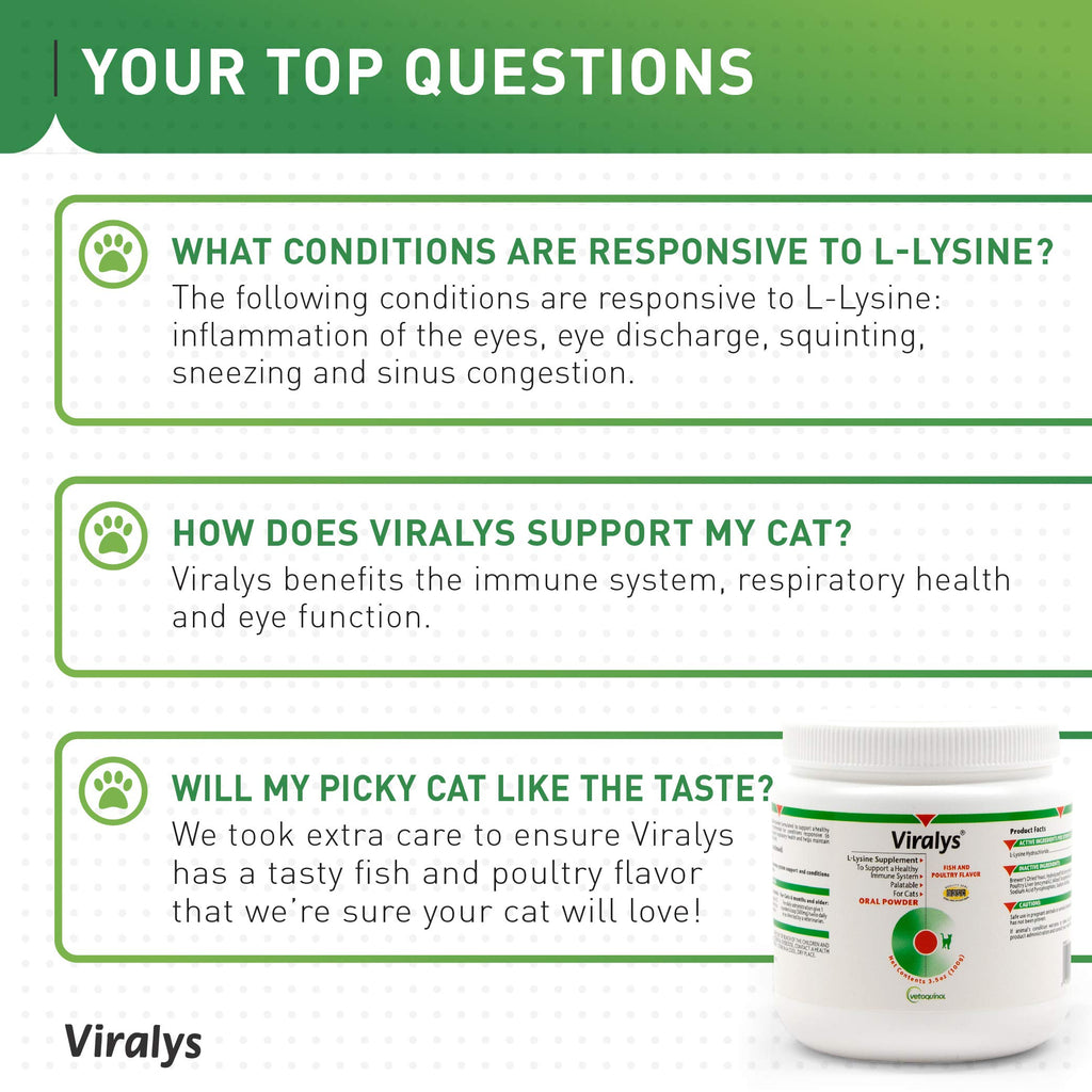 L-Lysine Daily Powder for Cats & Kittens – Fish Flavor 100g