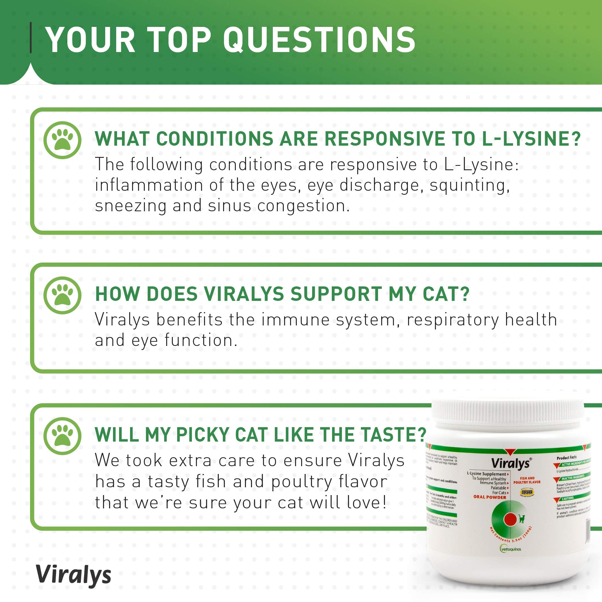 L-Lysine Daily Powder for Cats & Kittens – Fish Flavor 100g