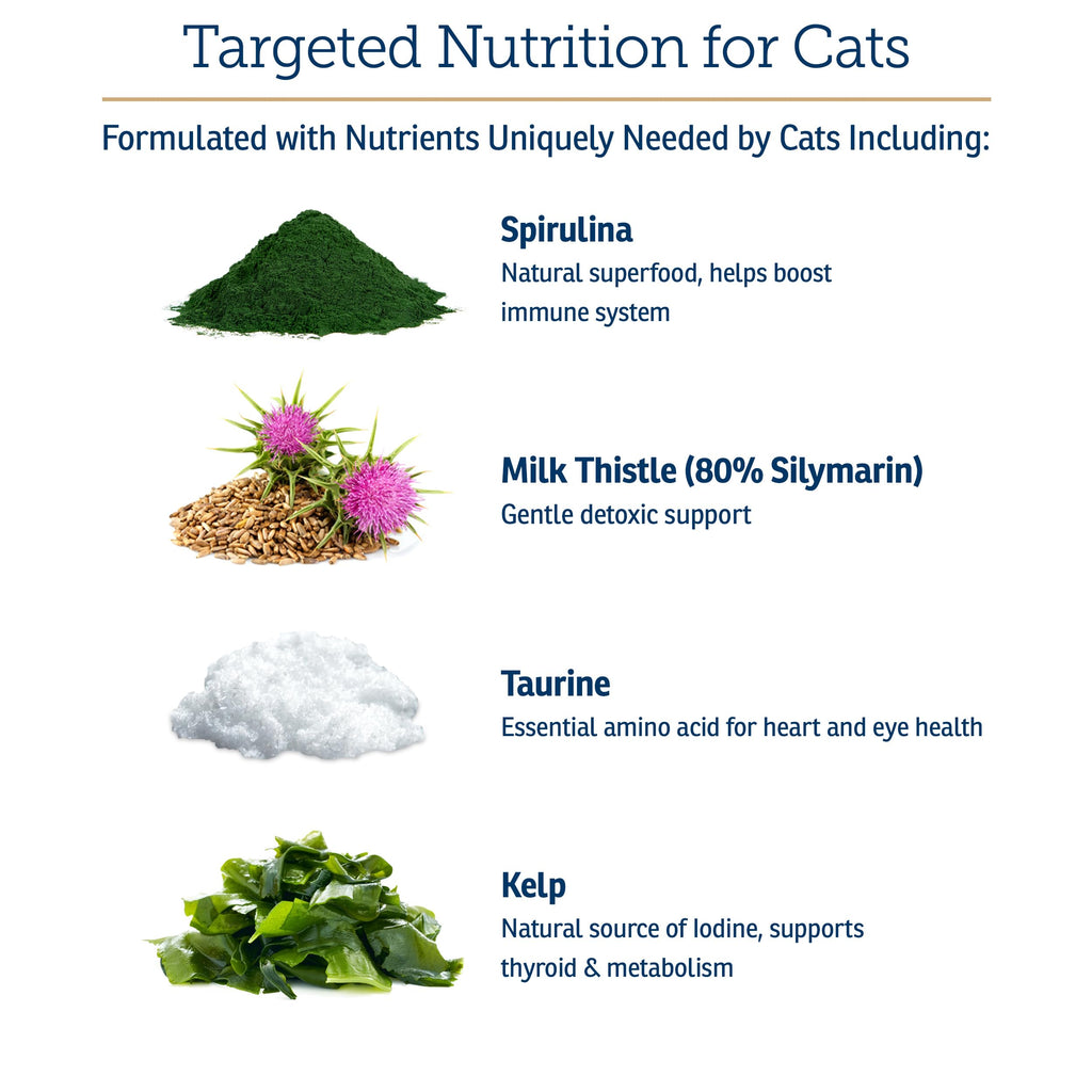 Daily Multivitamin & Mineral Powder for Cats – Immune Support 4oz