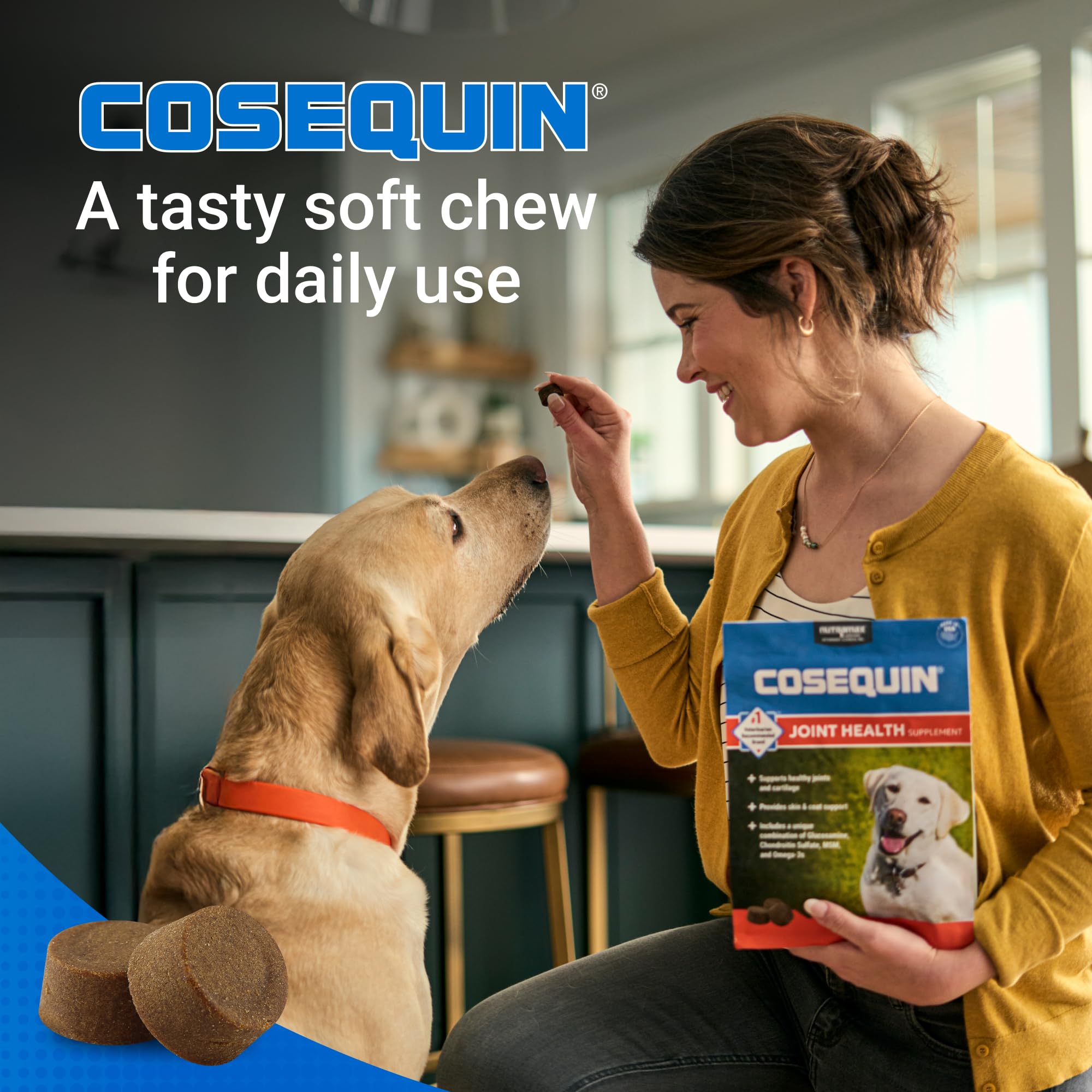 Joint Soft Chews for Dogs – Glucosamine, Chondroitin & MSM 120ct