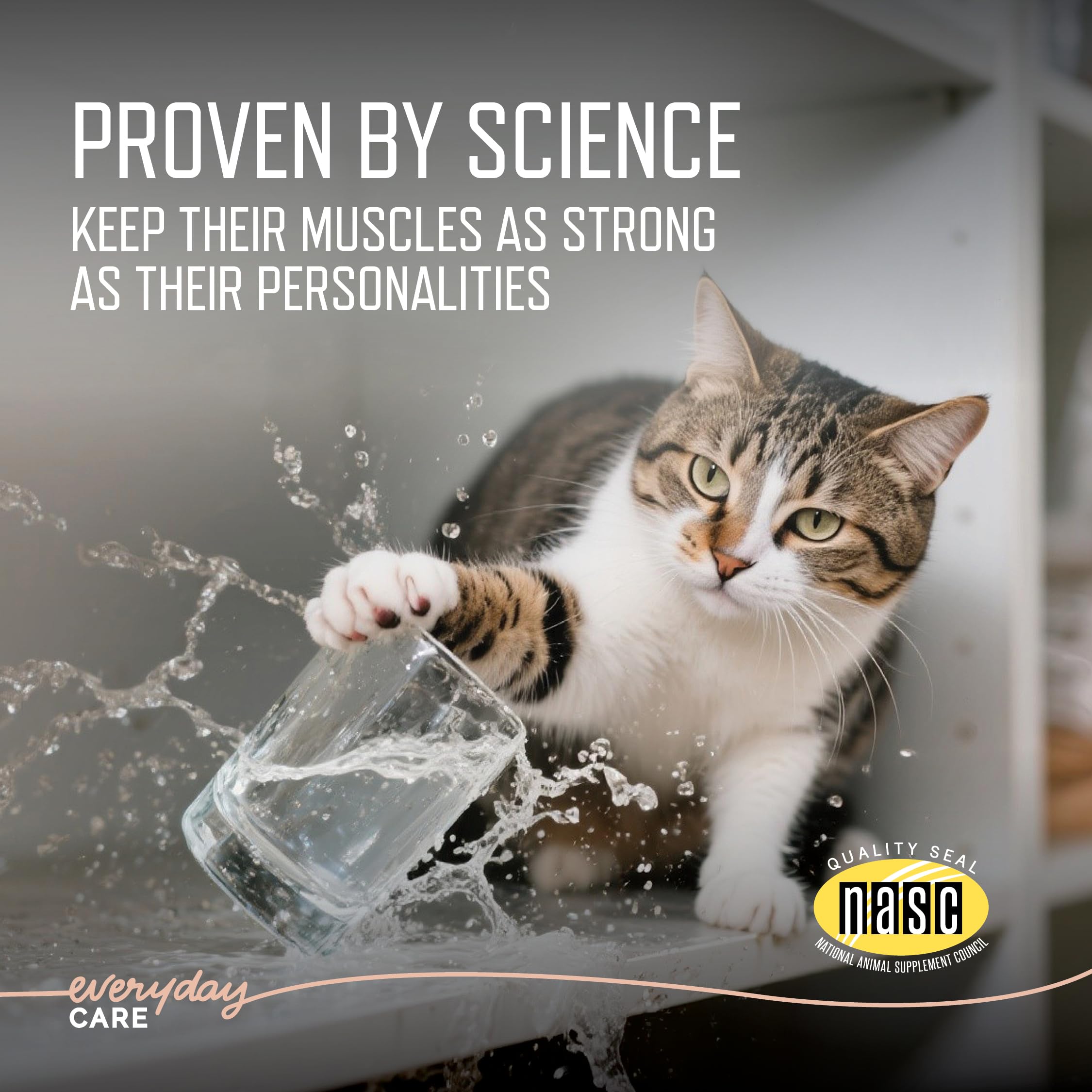 Muscle Health Support Soft Chews for Senior Cats – 60ct 2-Month