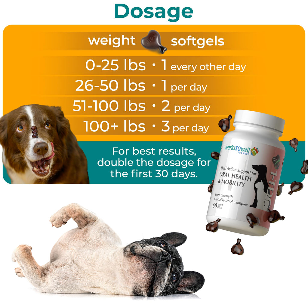 Hip & Joint Supplement for Dogs & Cats – Oral Health & Arthritis 60ct