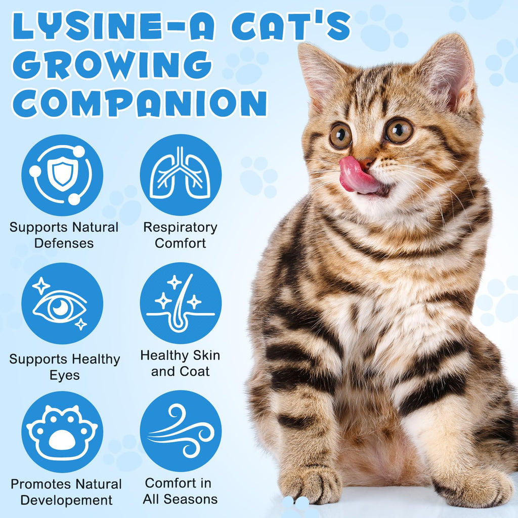 L-Lysine Liquid Drops for Cats – Immune & Respiratory Support 2oz