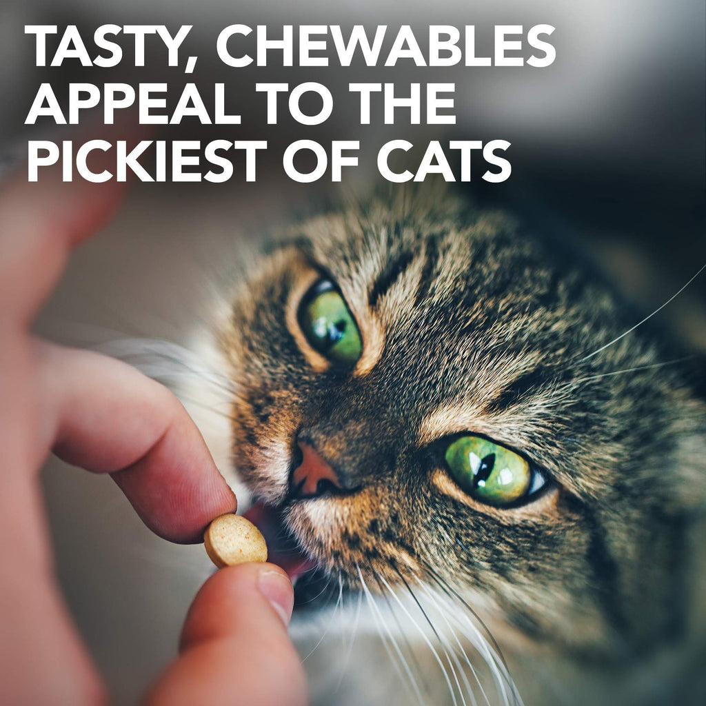 Urinary Tract Support Chewable Tablets for Cats – 60ct