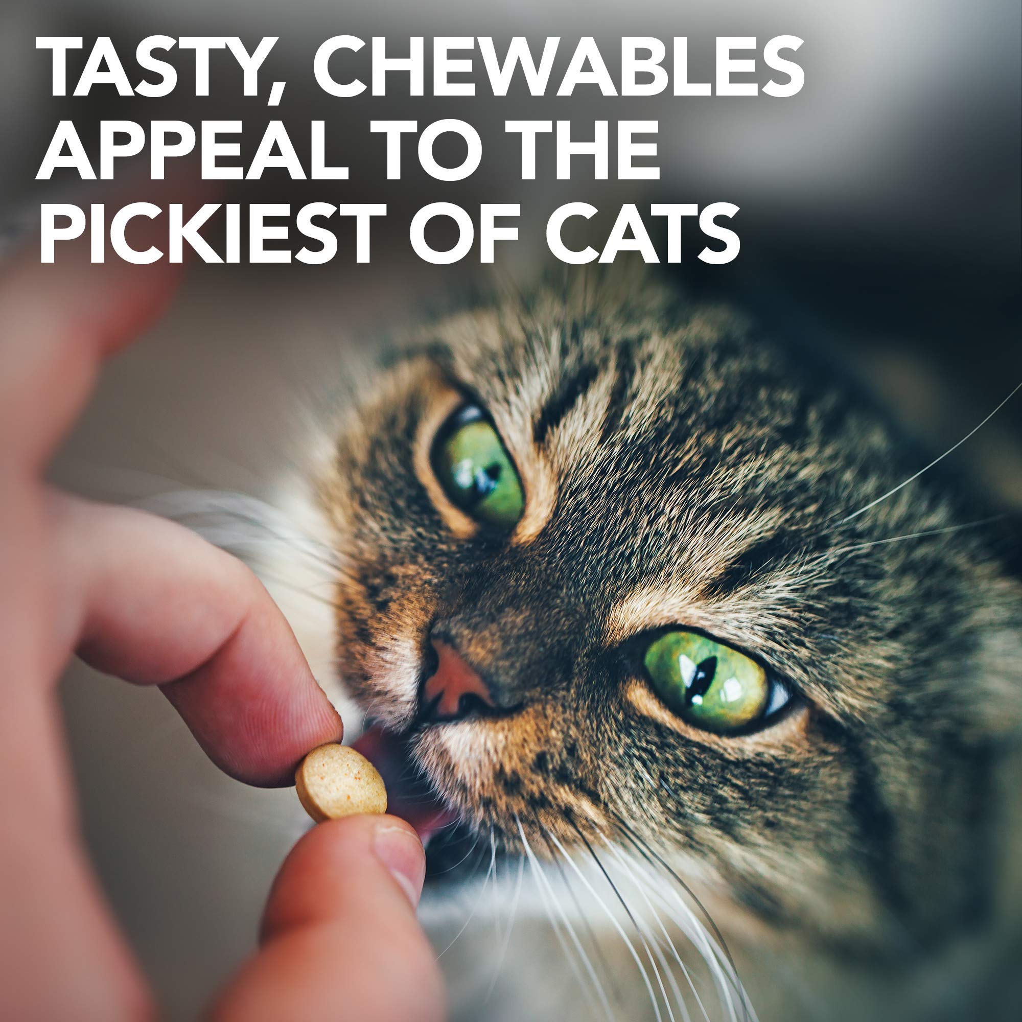 Urinary Tract Support Chewable Tablets for Cats – 60ct