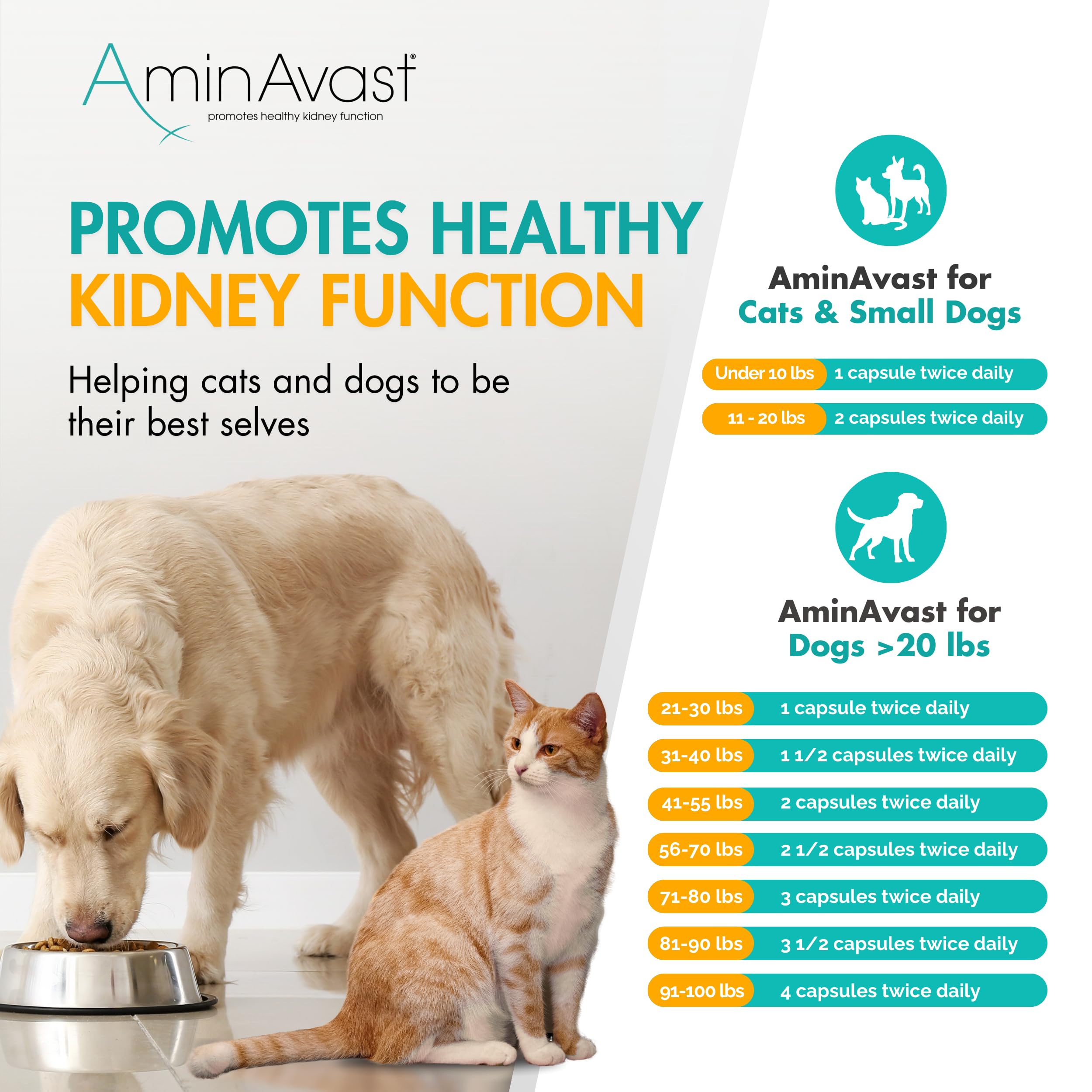 Kidney Support Sprinkle Capsules for Cats & Small Dogs – 60ct 3pk