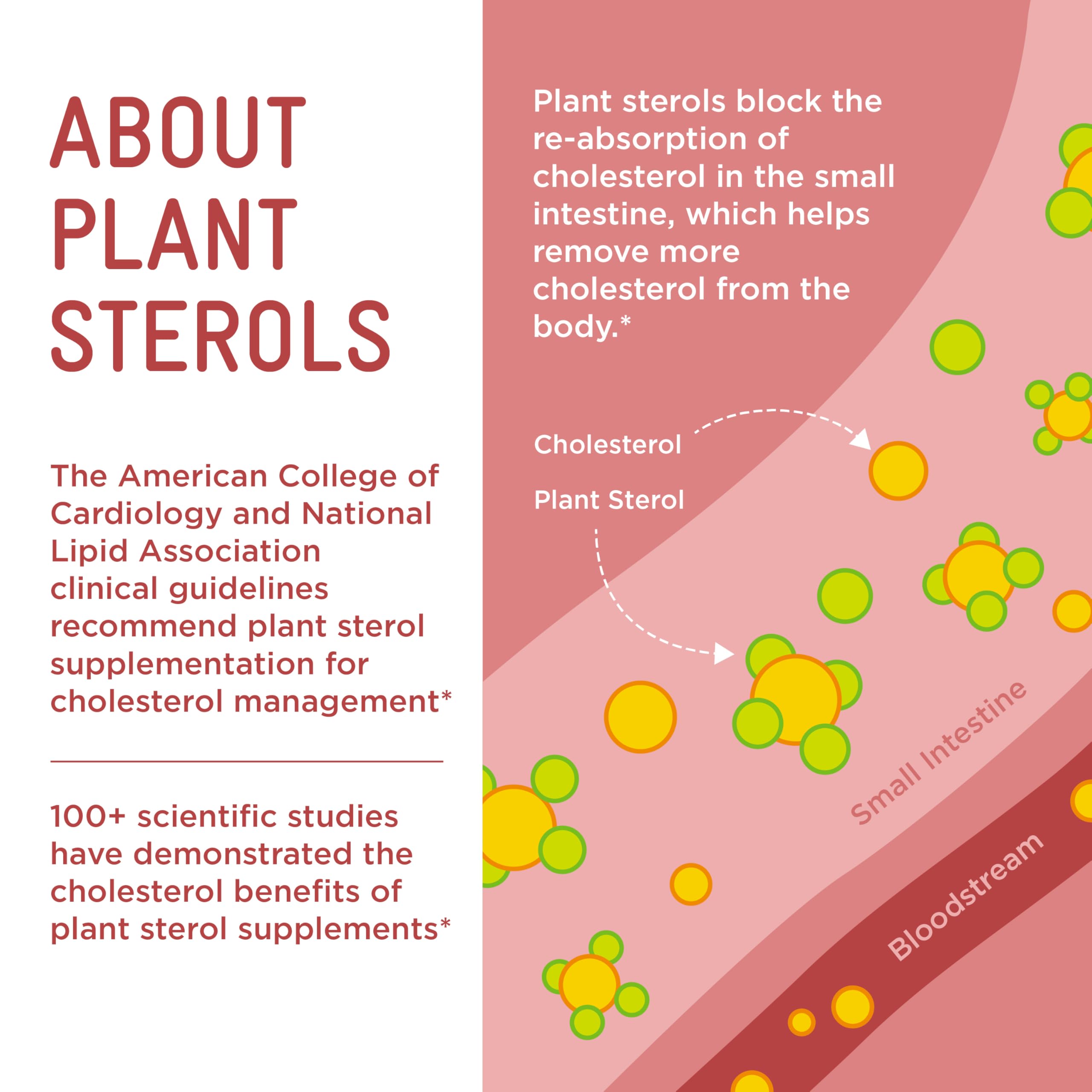 Cholesterol Support Gummies with Plant Sterols for Heart Health 120 Ct