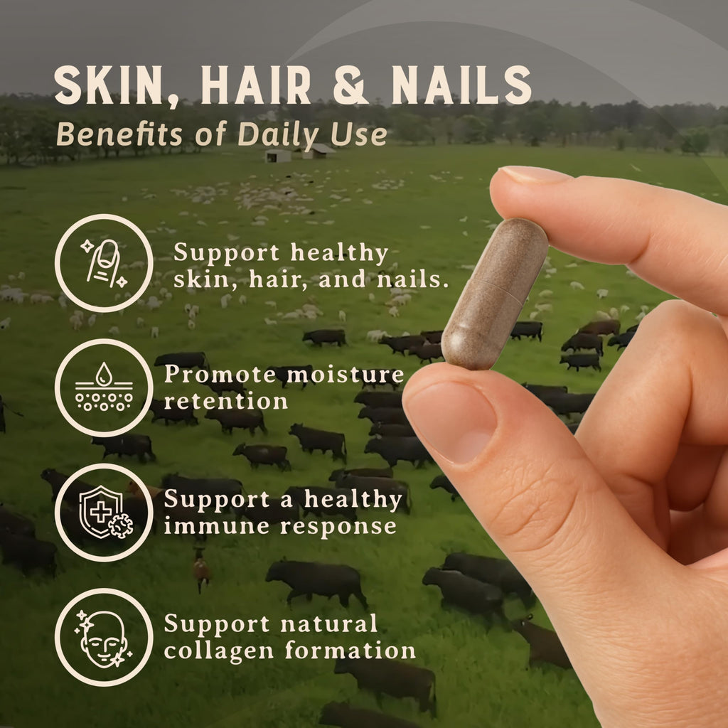 Beef Organ Hair Skin Nails Supplement 3000mg 180 Capsules