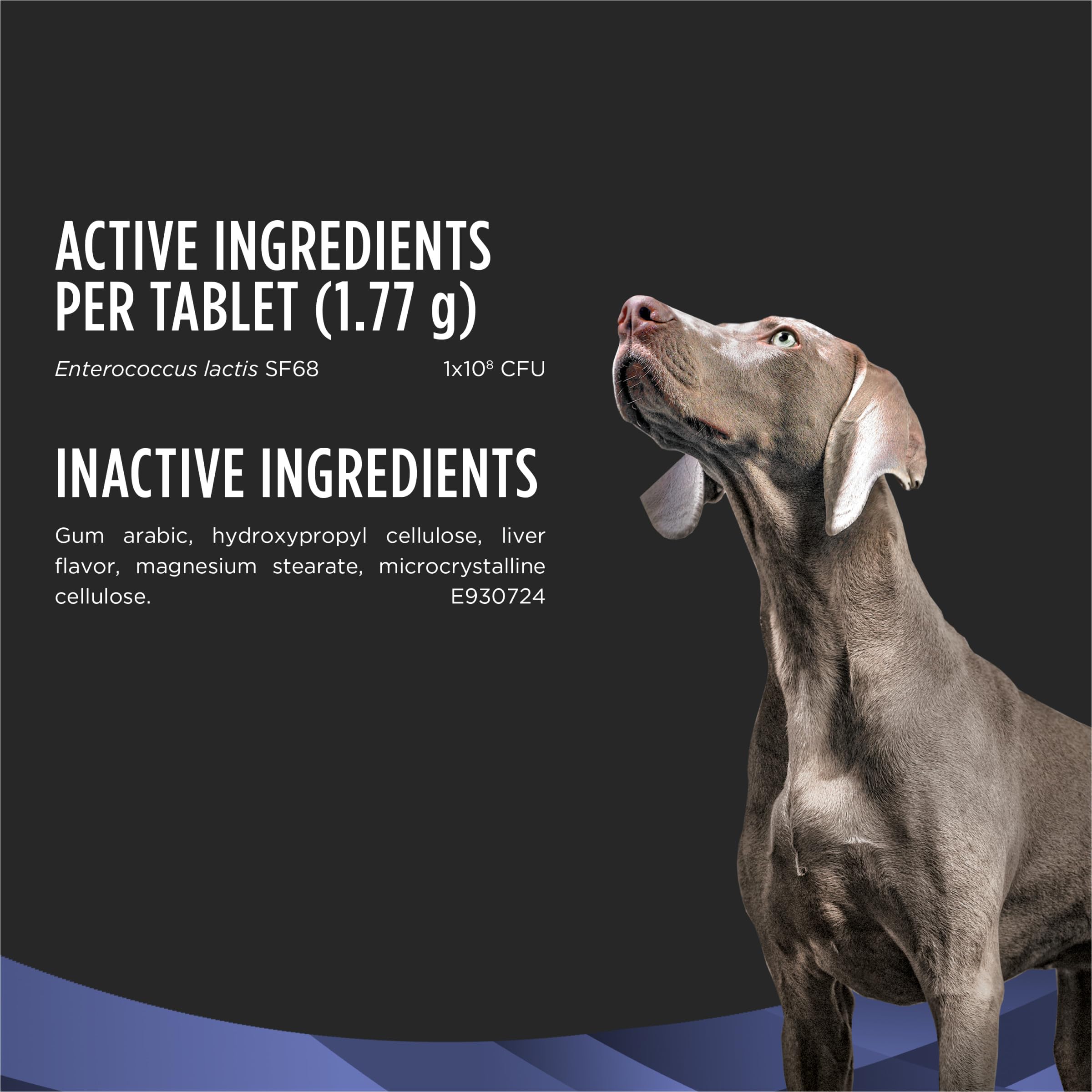 Daily Probiotic Chewable Tablets for Dogs – Digestive Health 45ct