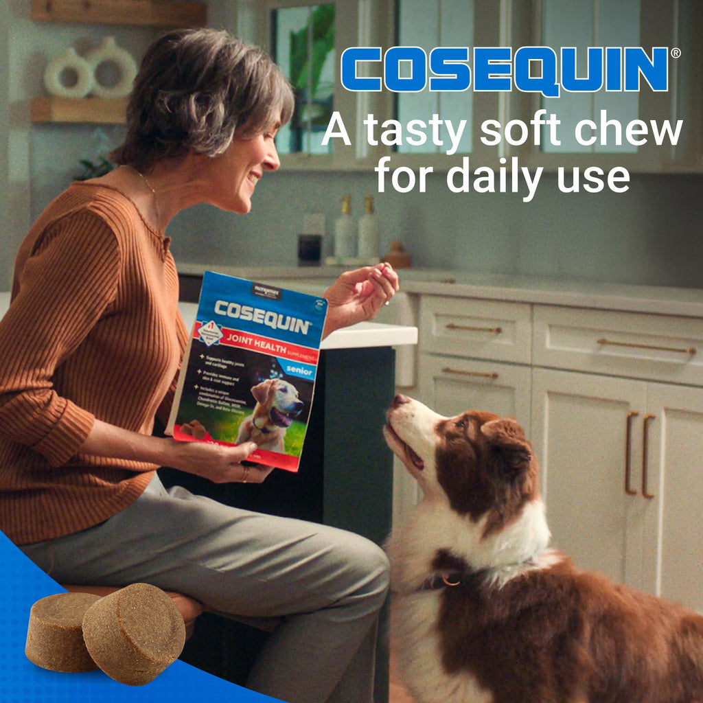 Senior Dog Joint Soft Chews – Glucosamine, MSM & Omega-3s 60ct