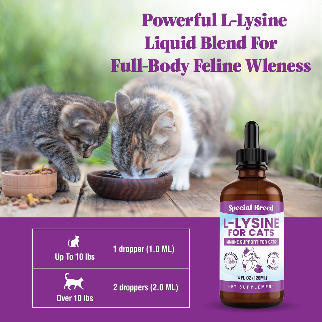 L-Lysine Liquid Drops for Cats & Kittens – Immune & Respiratory 250mg