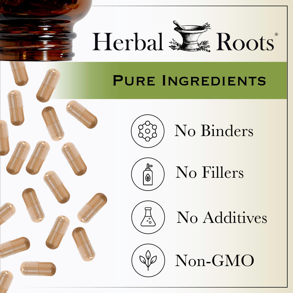 Organic Black Elderberry Capsules for Immune Support Vegan 60 Ct