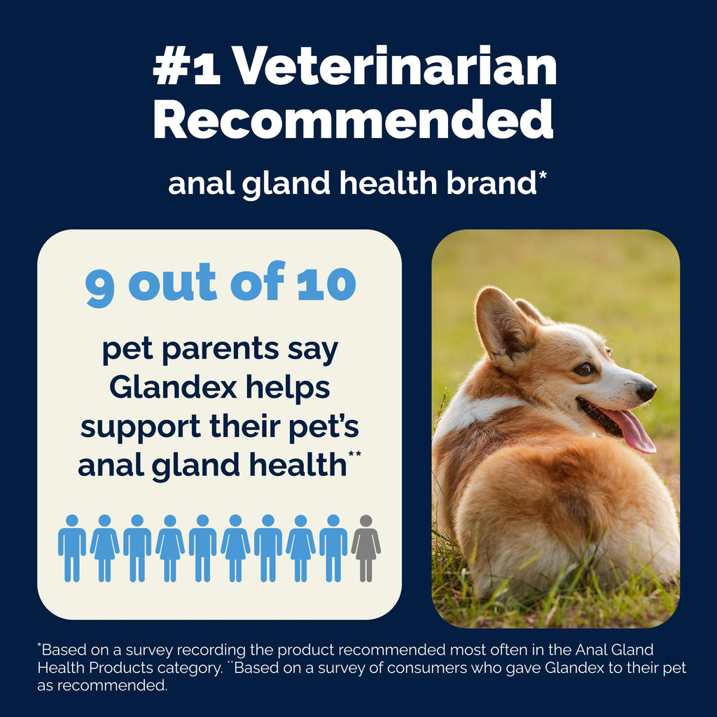 Anal Gland Support Soft Chews for Dogs – Pumpkin & Probiotics 60ct