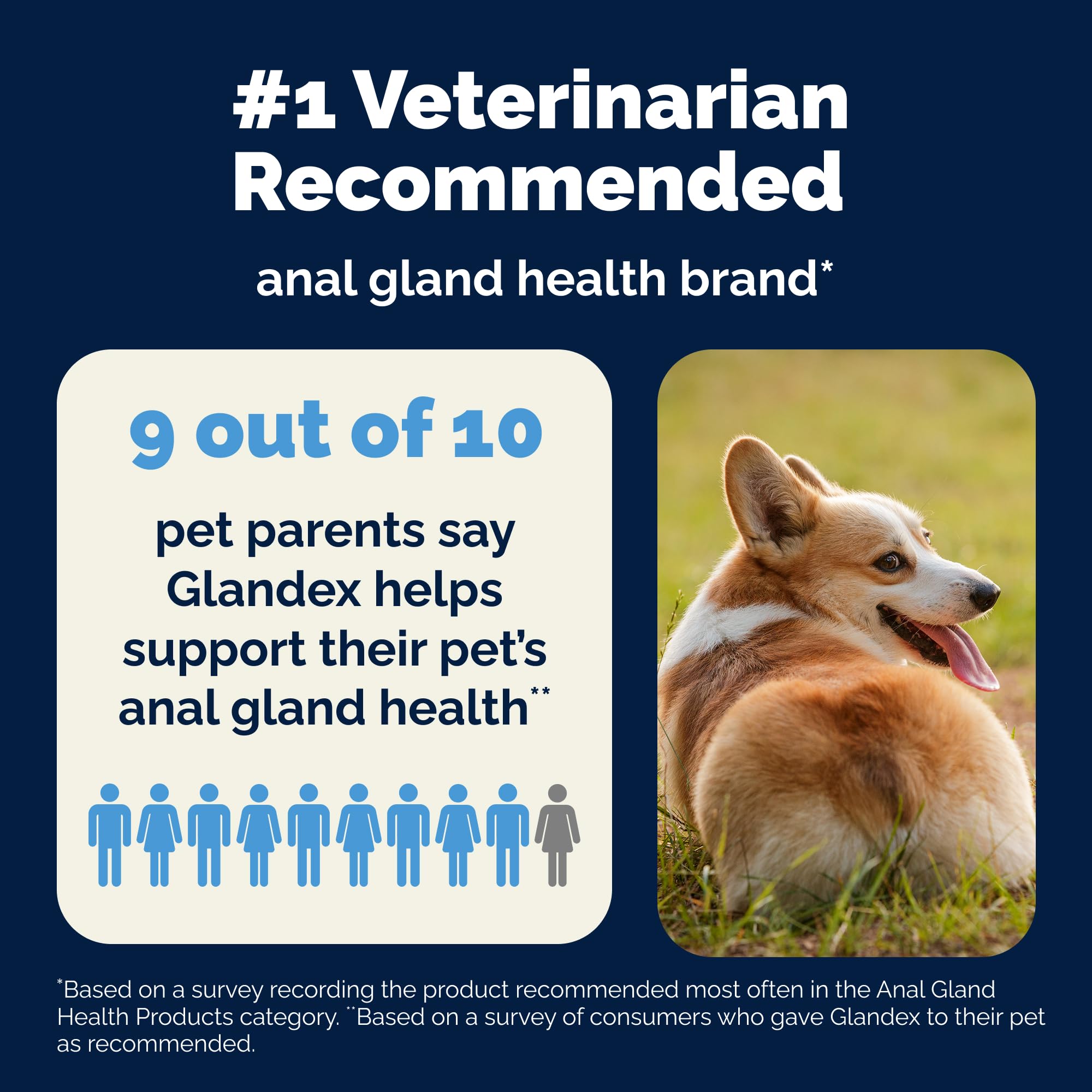 Anal Gland Support Soft Chews for Dogs – Pumpkin & Probiotics 60ct