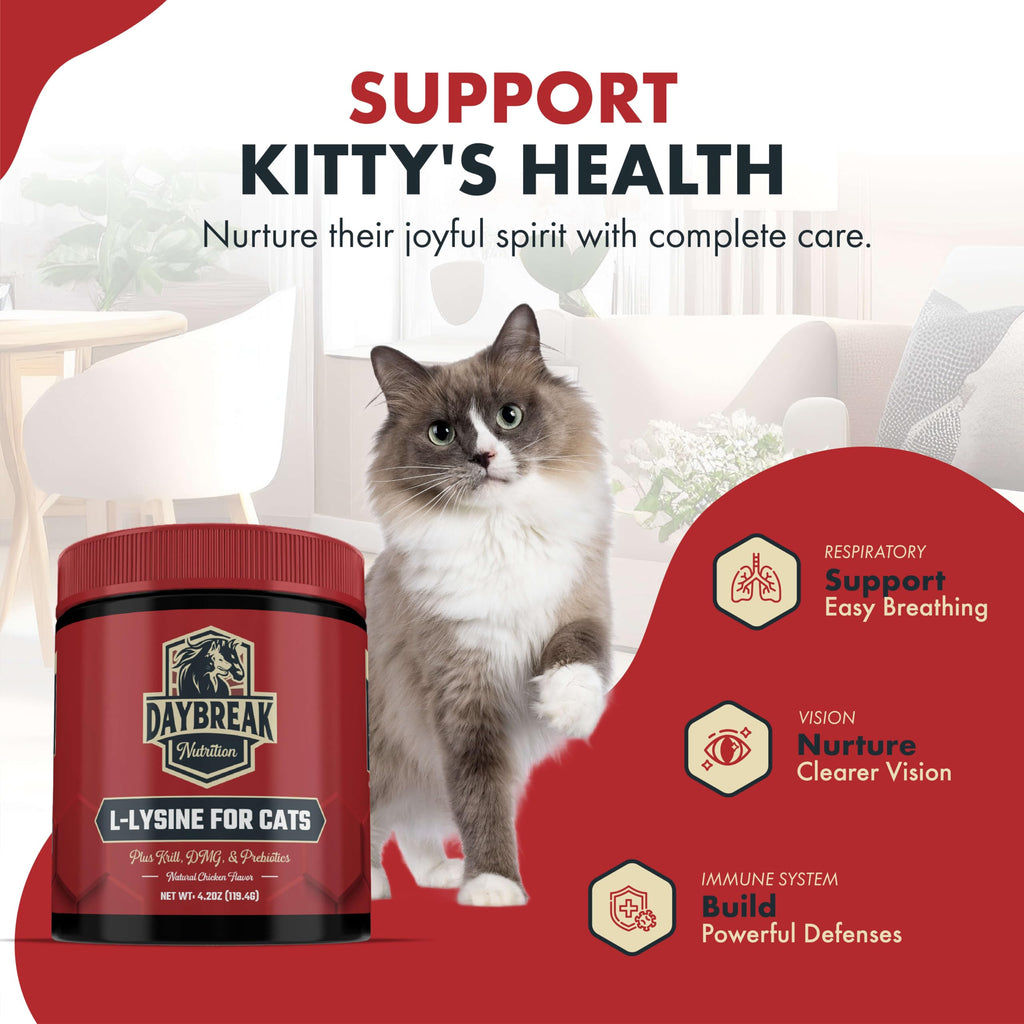 L-Lysine Powder for Cats & Kittens – Immunity & Respiratory 900mg