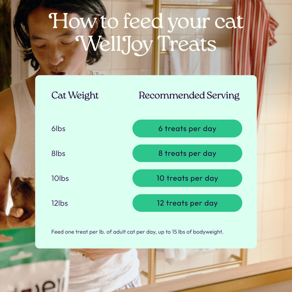 Dental & Gut Support Soft Chews for Cats – Tartar & Breath 120ct