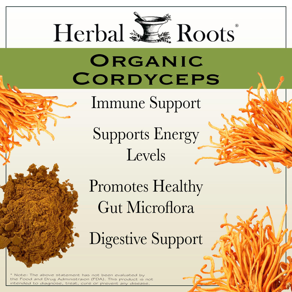 Organic Cordyceps Mushroom Capsules – Energy & Immune Support, 60 Ct