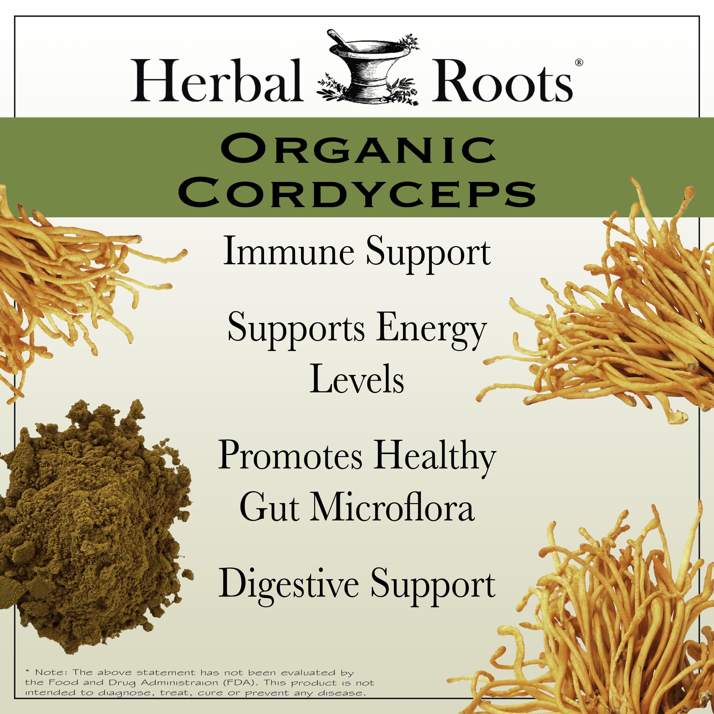 Organic Cordyceps Mushroom Capsules – Energy & Immune Support, 60 Ct