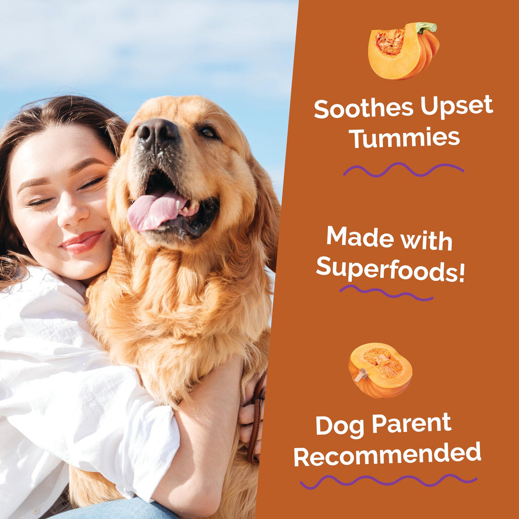 Pumpkin Digestive Fiber Supplement for Dogs – 15oz