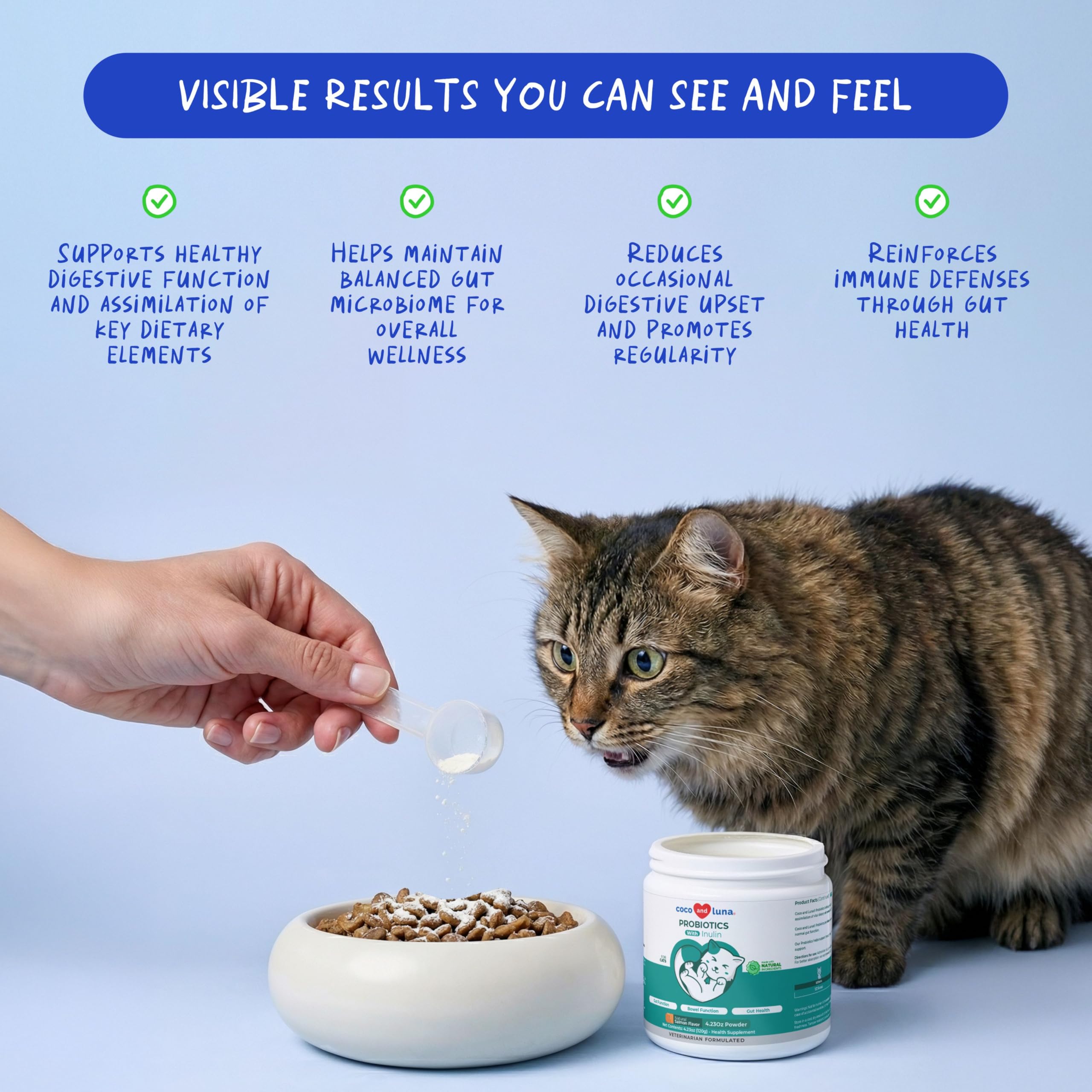 Probiotic & Prebiotic Powder for Cats – Digestive & Gut Health