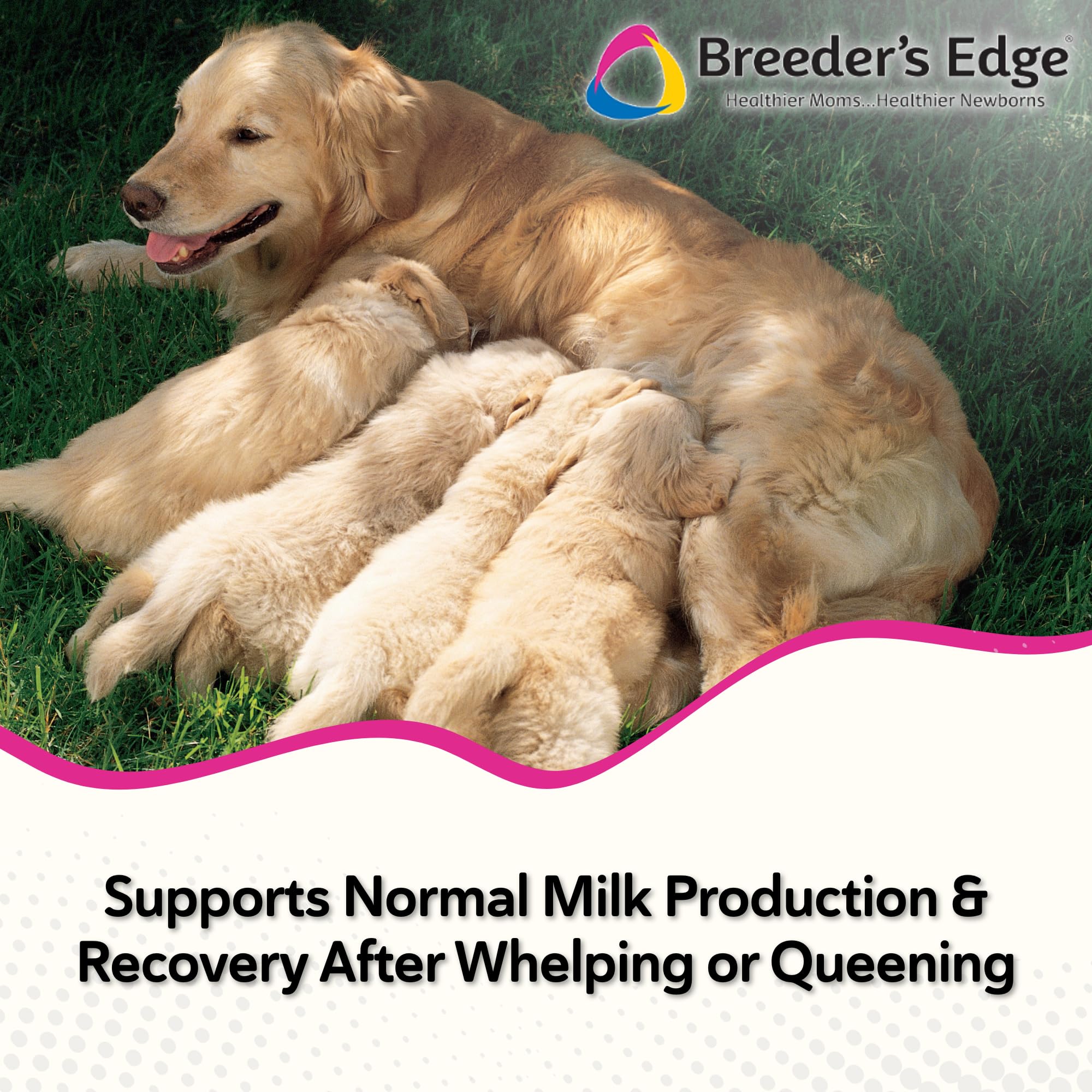 Postnatal Vitamin Soft Chews for Lactating Dogs & Cats – 40ct