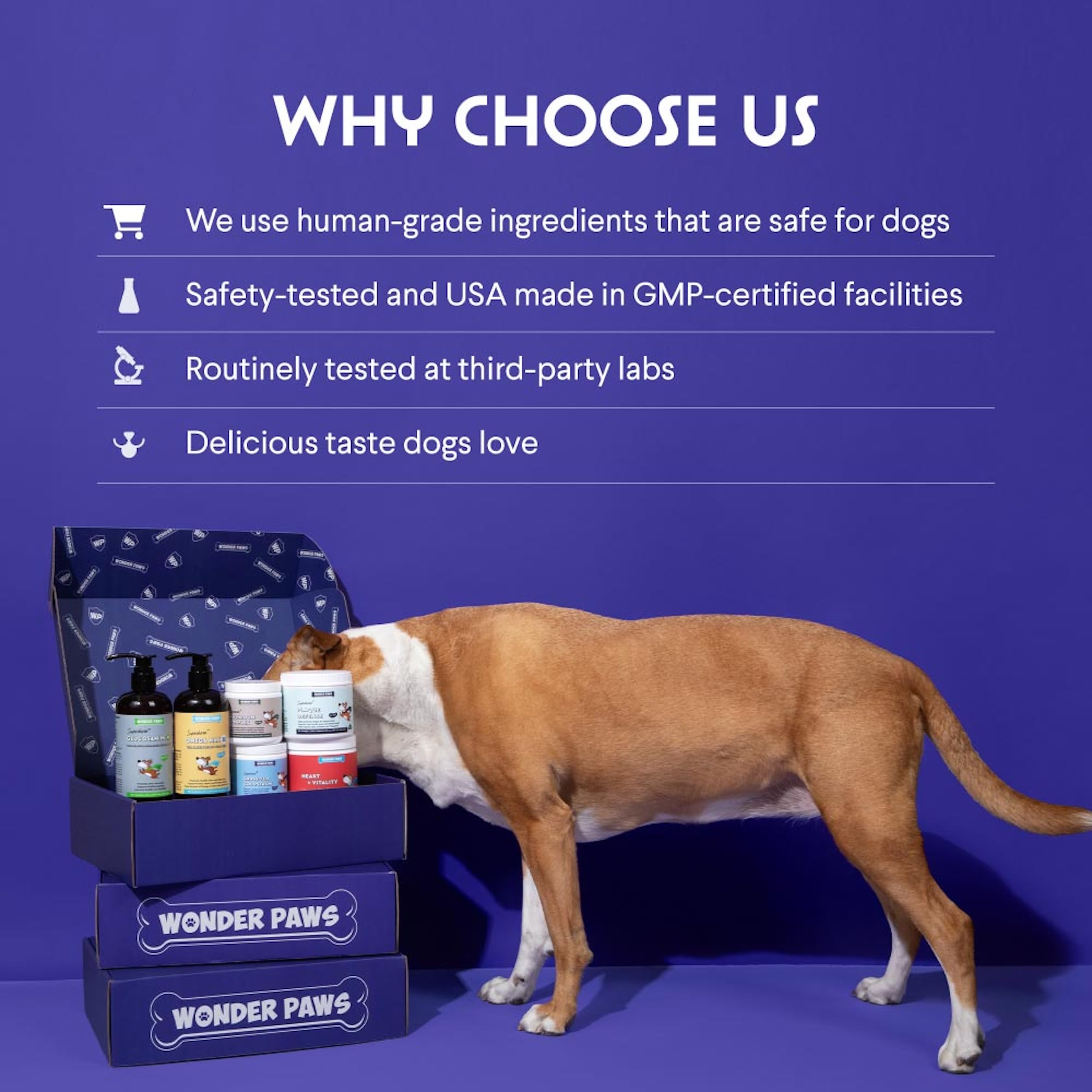 Liquid Collagen Supplement for Dogs – Skin, Coat & Joint Support