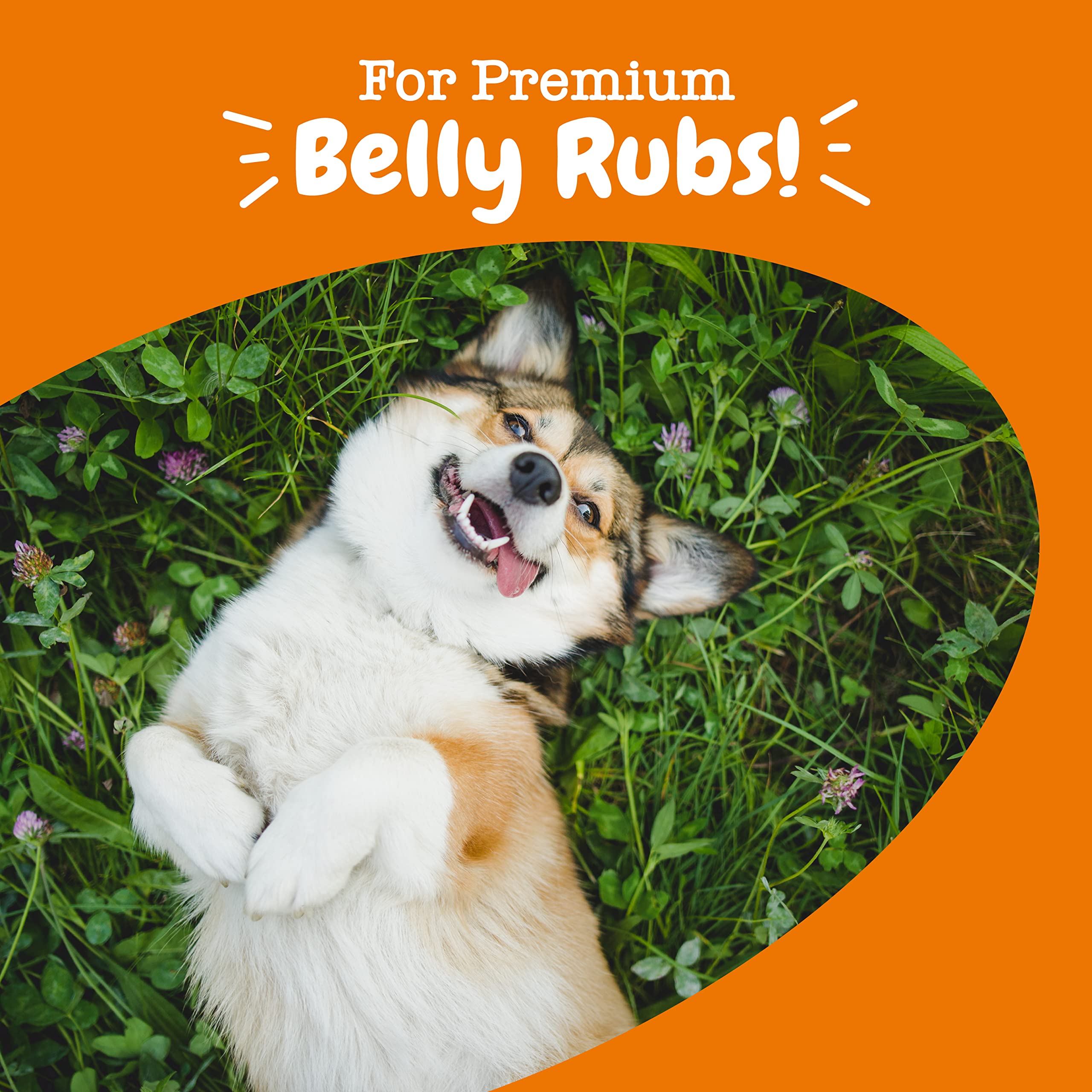 Probiotic Soft Chews for Dogs – Gut & Digestive Health Support 90ct